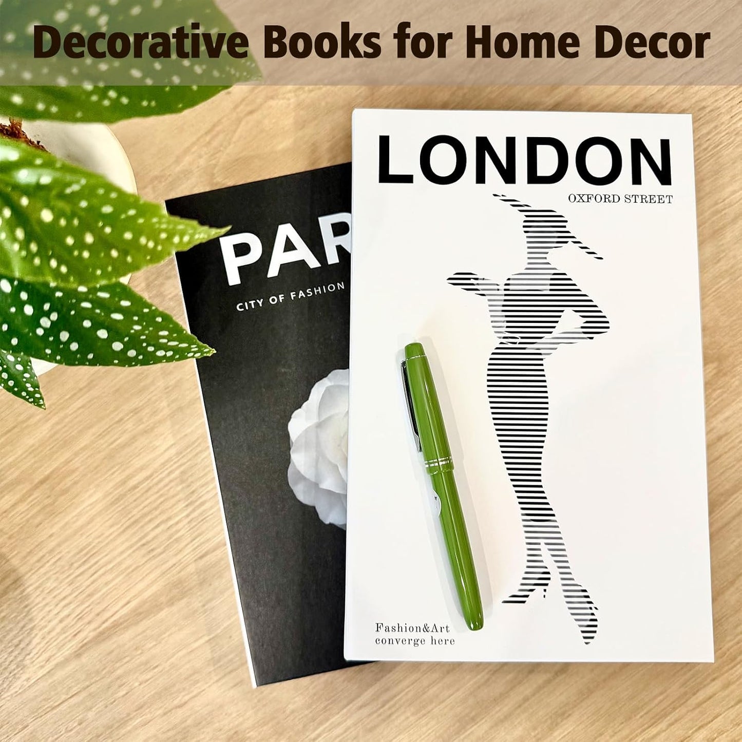 Decorative Books / Stylish Bookshelf and Office Living Room and White Fake Books / Black