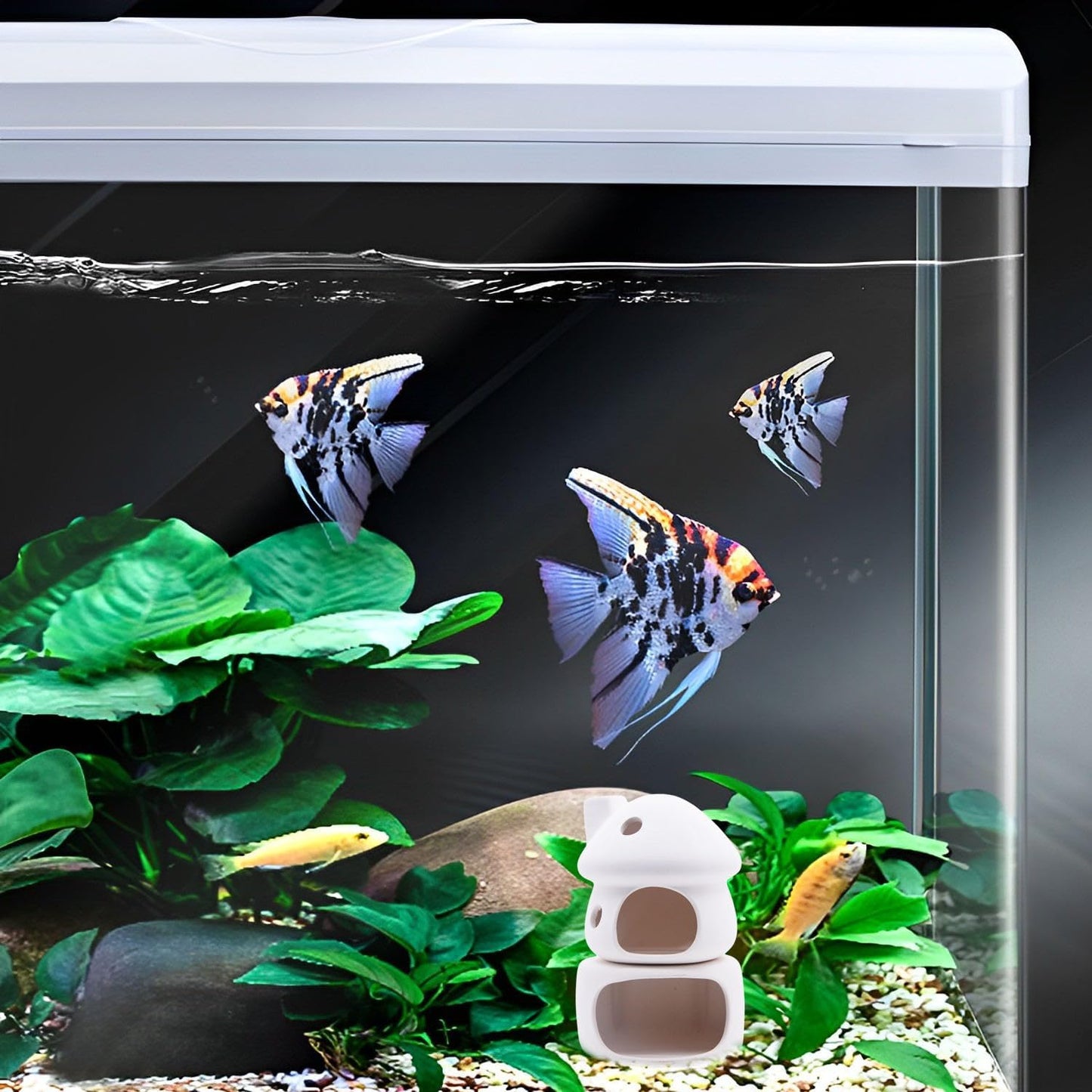 Aquarium Decor Ceramic Mushroom House / White B
