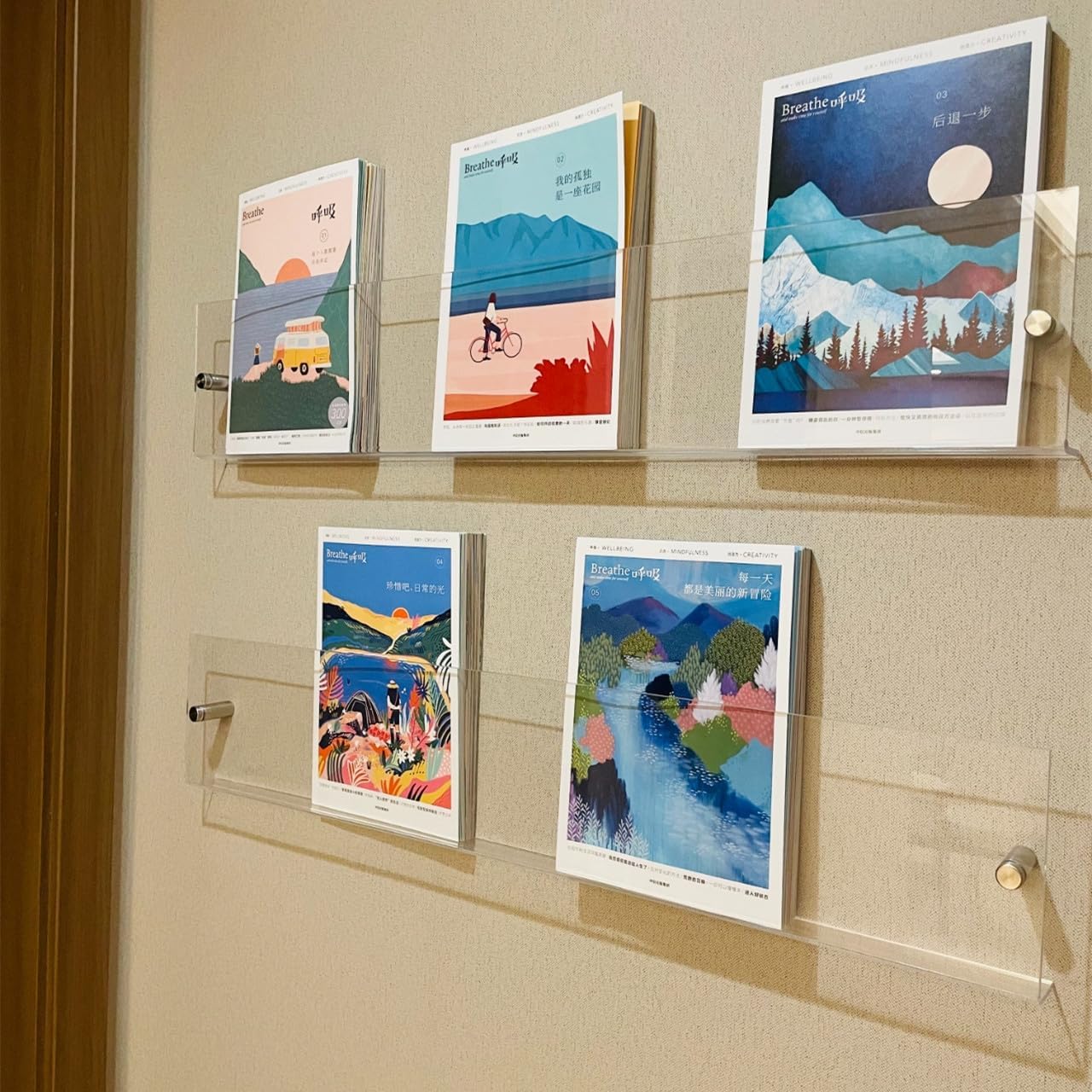 ROYALITA 4-Pack Acrylic Magazine Holder Display Records Holder, 24 Inch | Brochure Holder Floating Bookshelves Wall