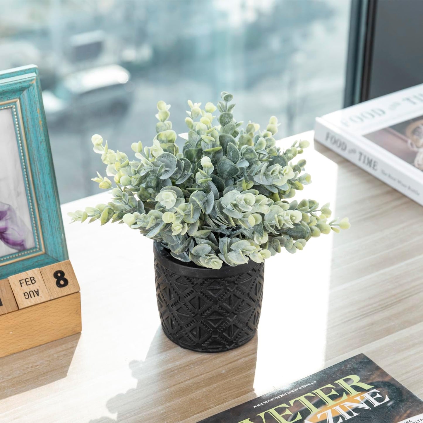 Artificial Eucalyptus Plant in Modern Gray Concrete Pots / Black