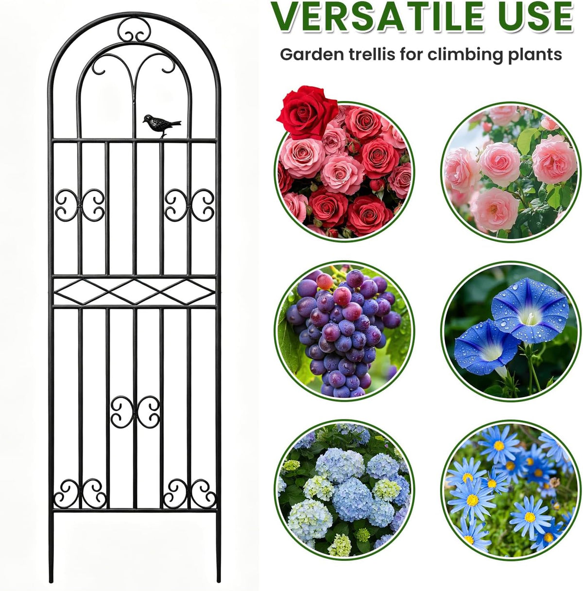 2 Pack 70.8"x19.7" Metal Gardon Trellis for Climbing Plants Outdoor, | Rustproof, Heavy Duty, Black Coating Gardon