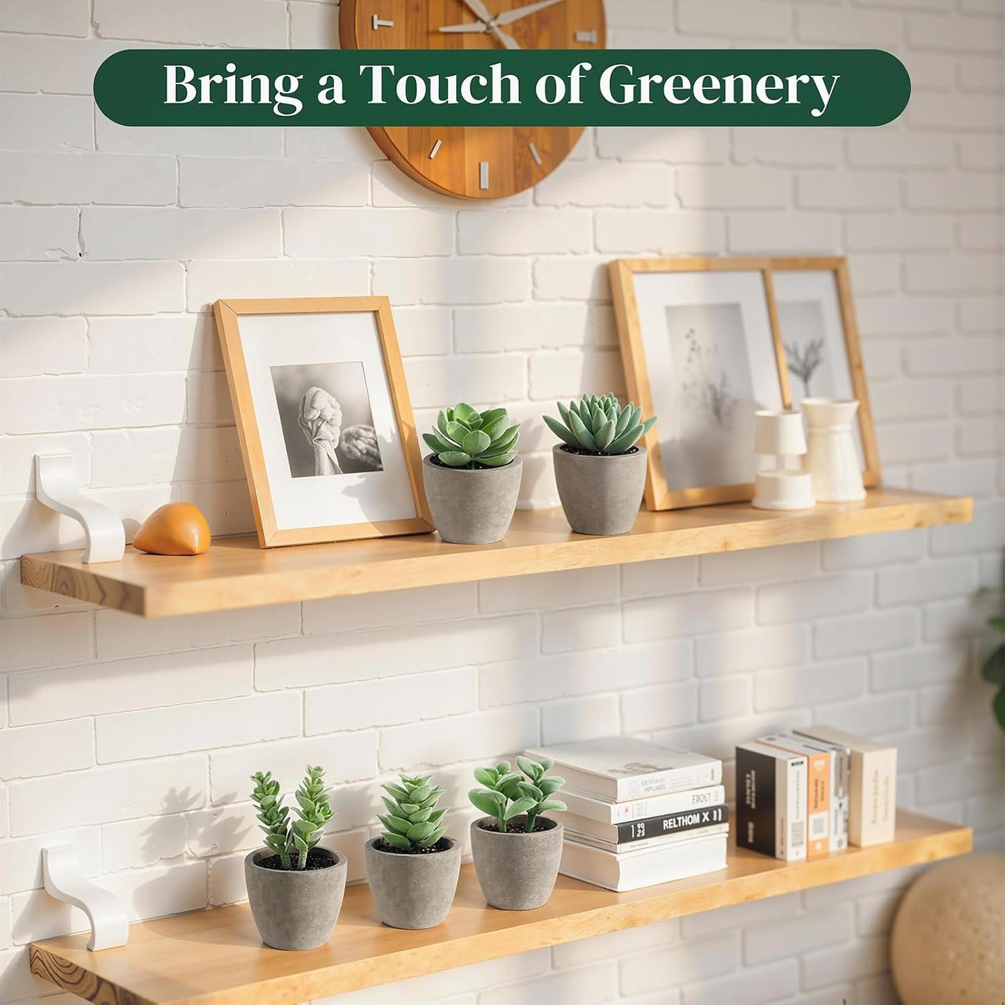 Artificial Succulent Plants Potted / Green / Set of 6
