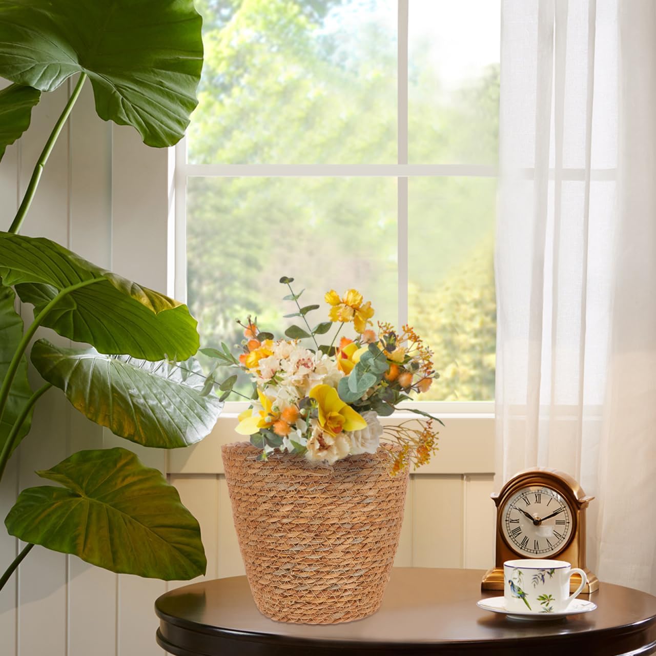 Woven Plant Basket / Set of 2