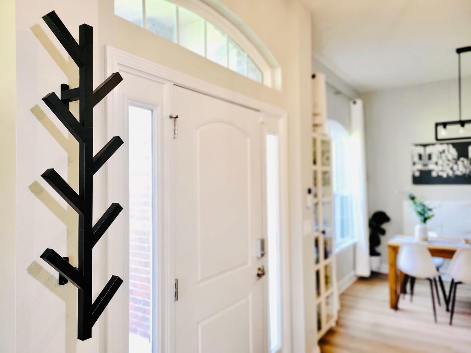 Coat Rack & Hat Rack - Modern Design - Wall Mounted - Stylish - (Black)
