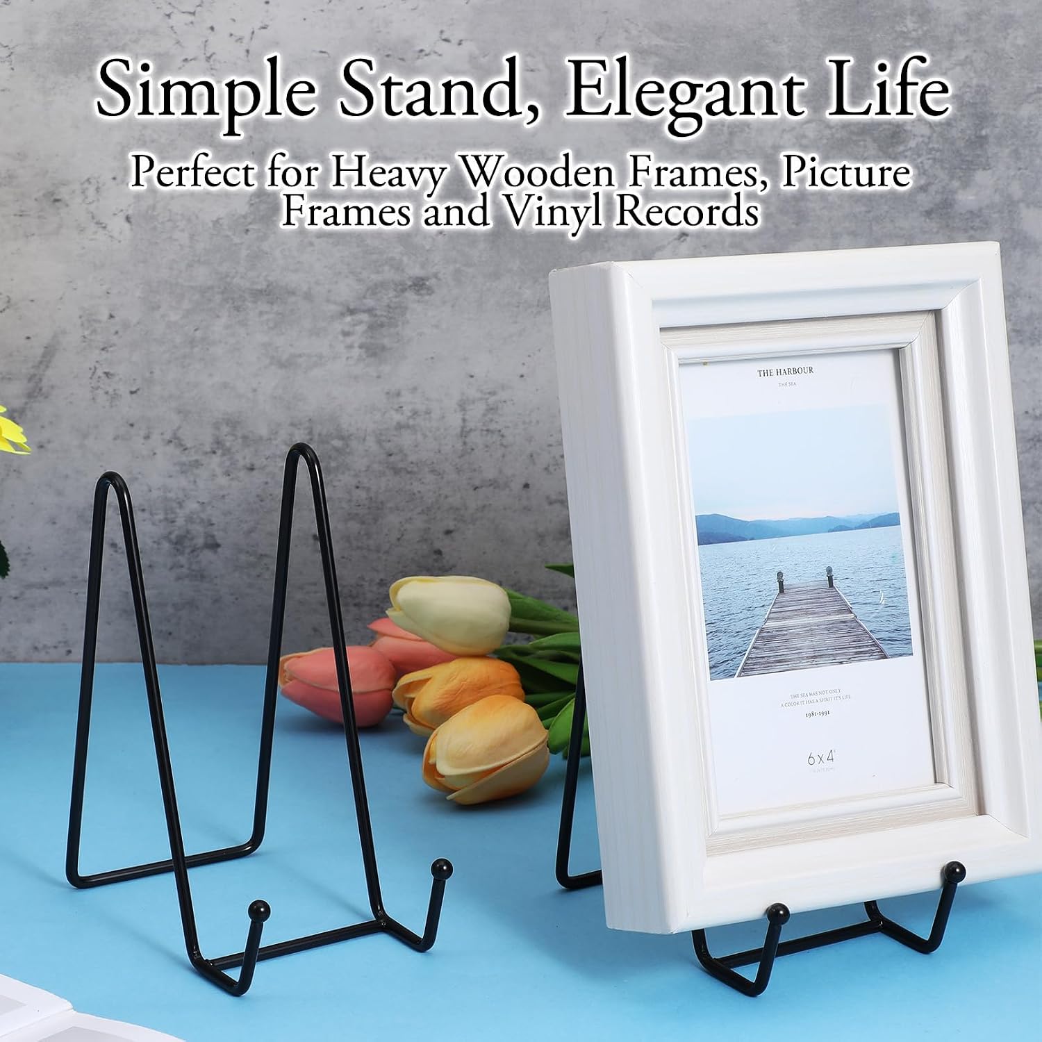 Metal Plate Display Stands / Black / 6 Inch / Set of 12