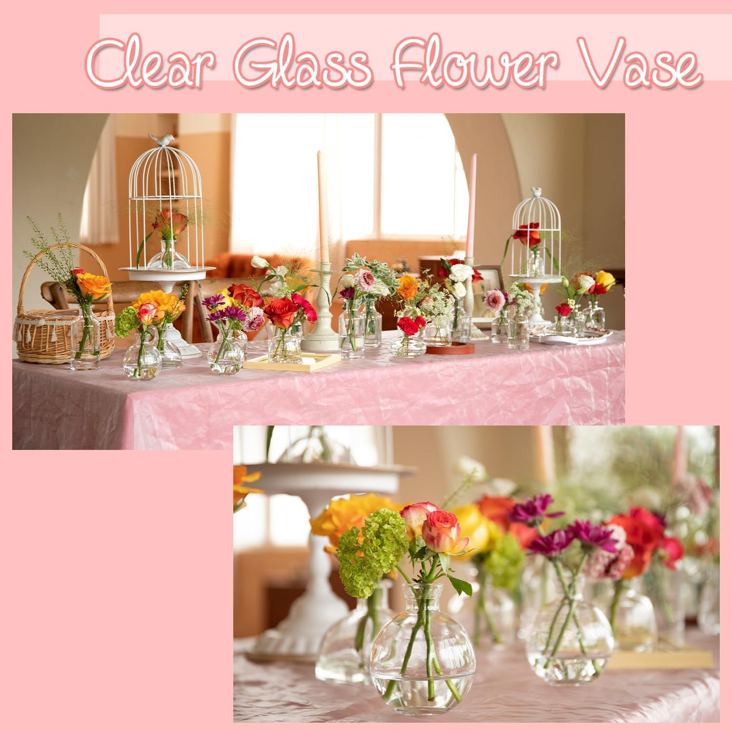 Glass Bud Vase in Bulk / Clear / Set of 24