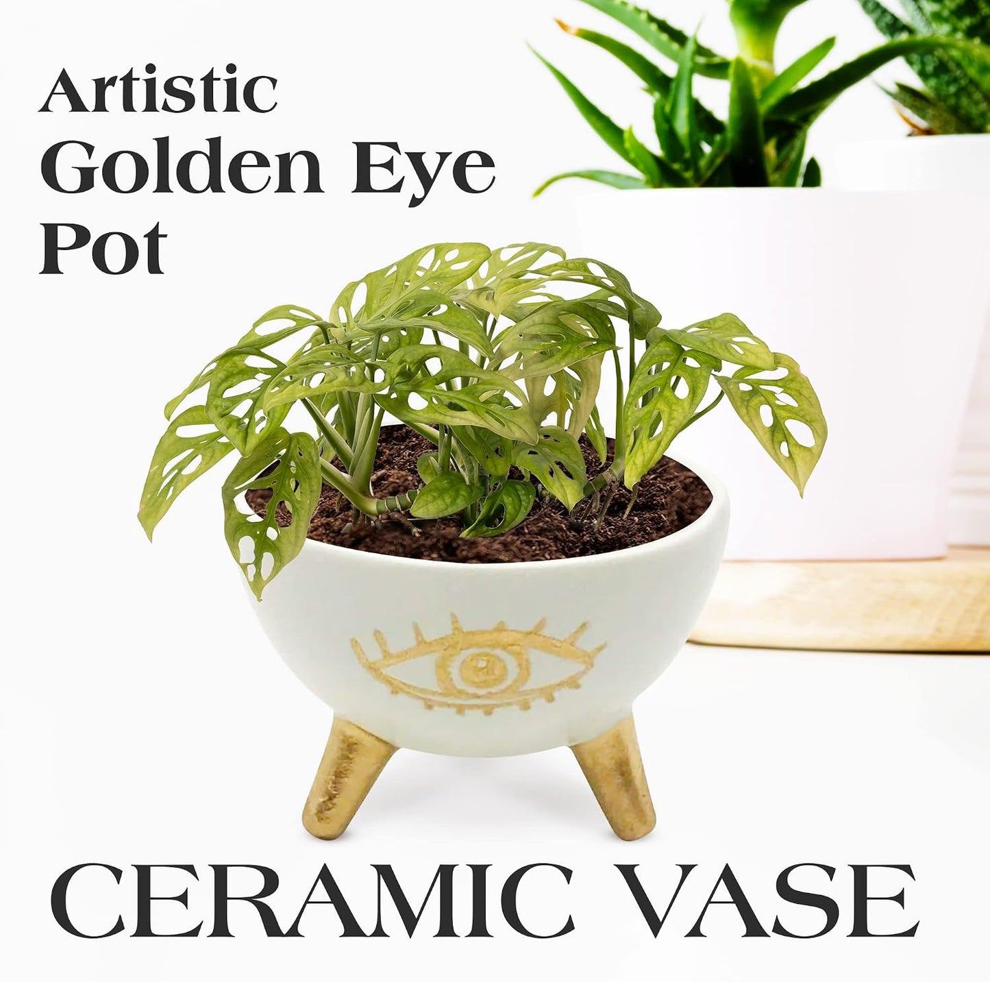 Modern Table Top Planter and Ceramic Jewelry Dish / Gold