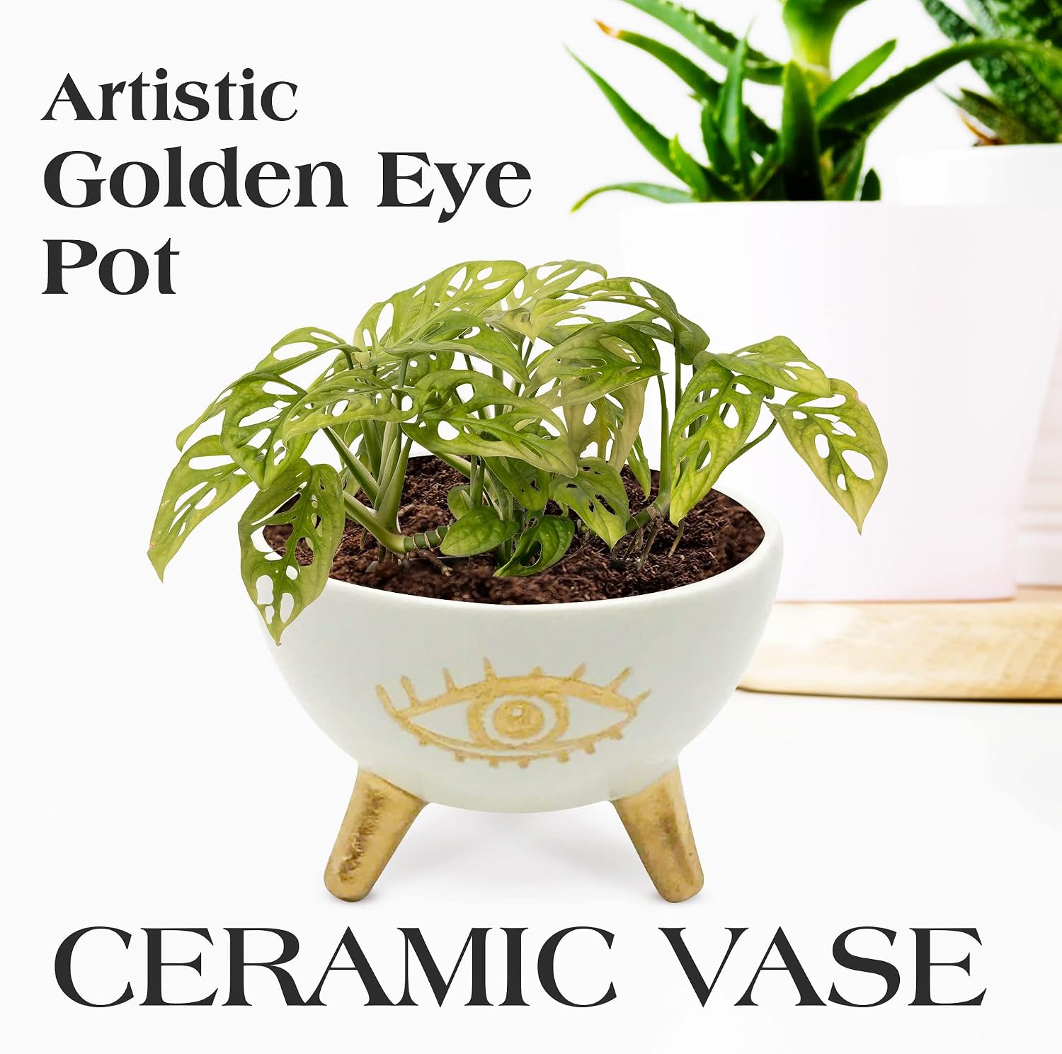 Modern Table Top Planter and Ceramic Jewelry Dish / Gold
