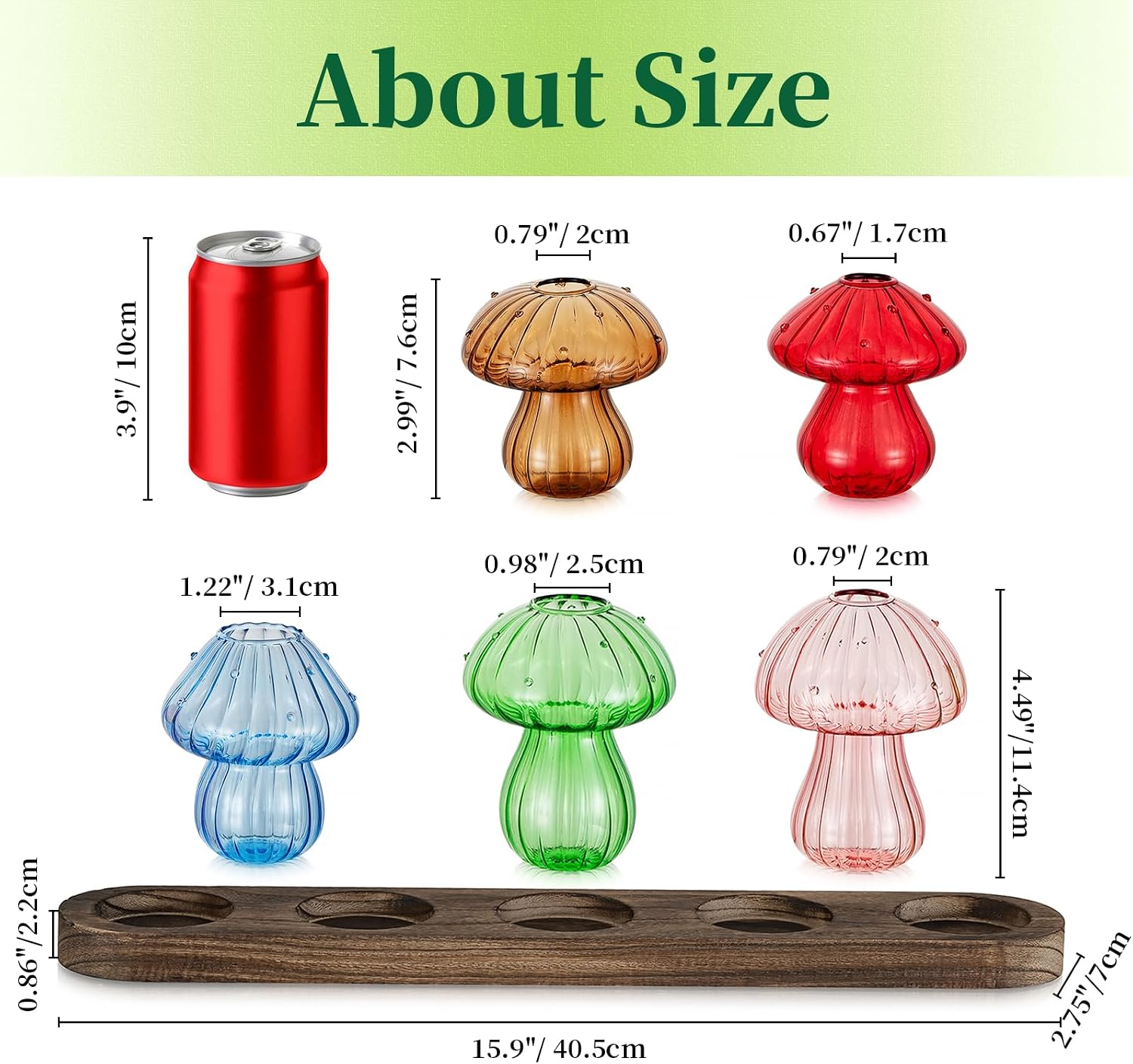 Wooden Stand / Glass Propagation Station for Plant / Colored / Set of 5
