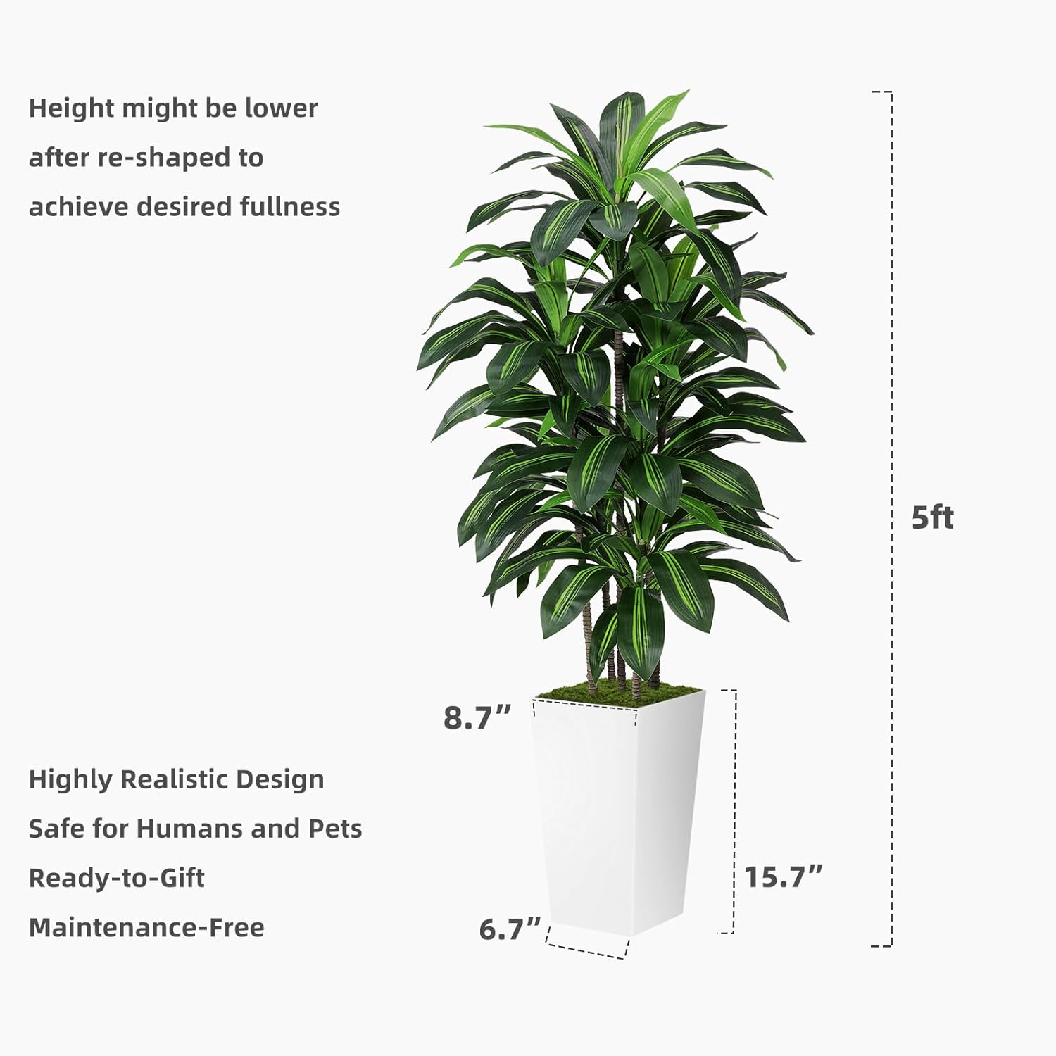 Faux Yucca Tall Fake Floor Plant in Pot / Black / 5ft / 5 Inch