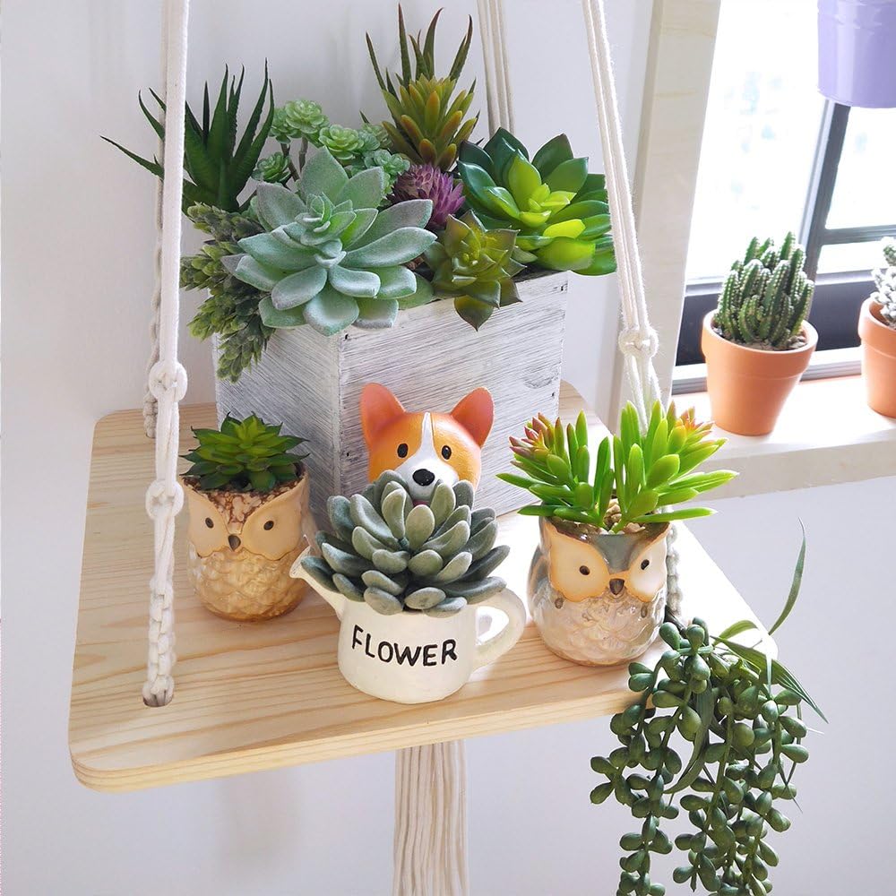 Winlyn Unpotted Fake Succulents Assorted Faux Succulent in Different Artificial / Green / Set of 6