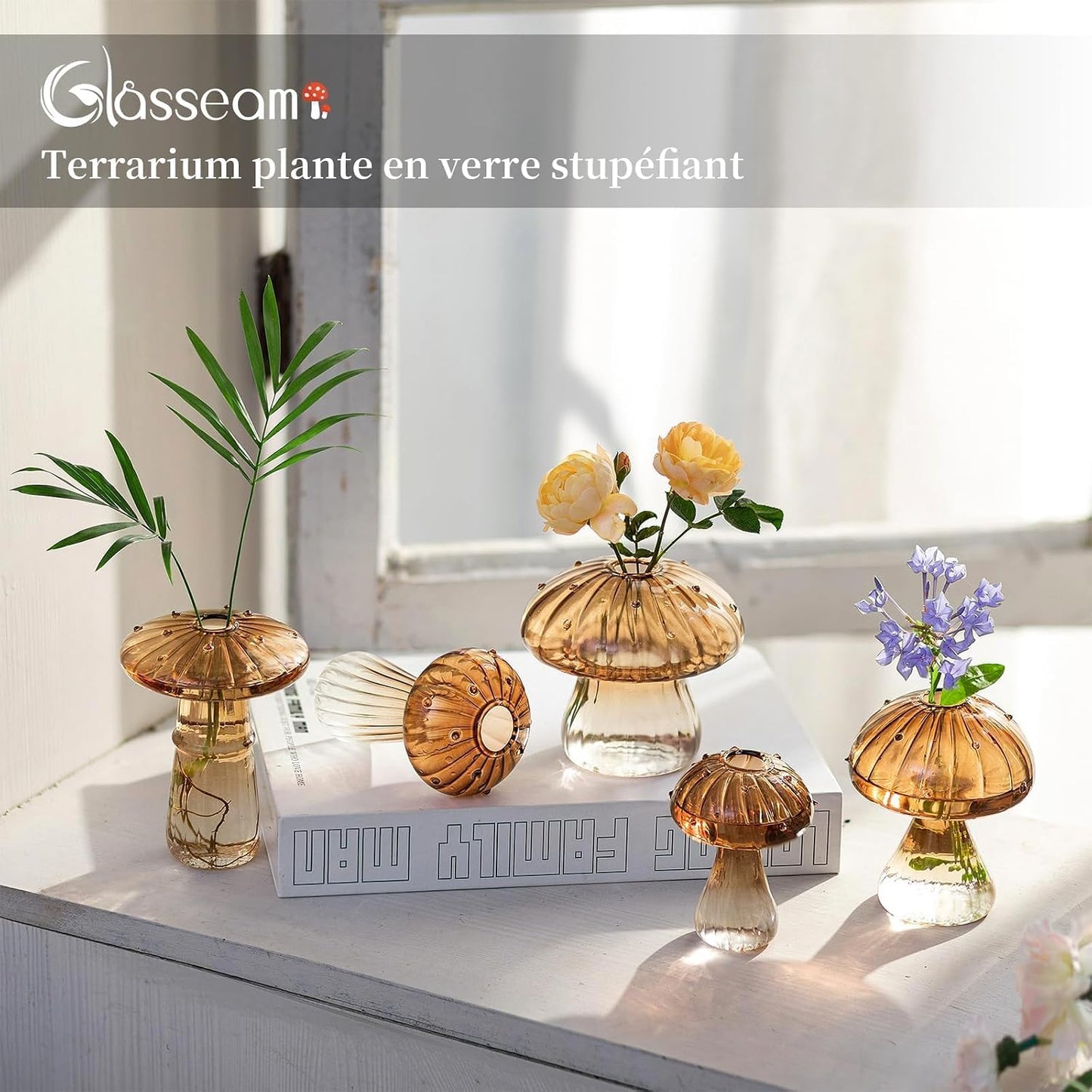Glass Terrarium Jar Planters / Amber / Set of 5
