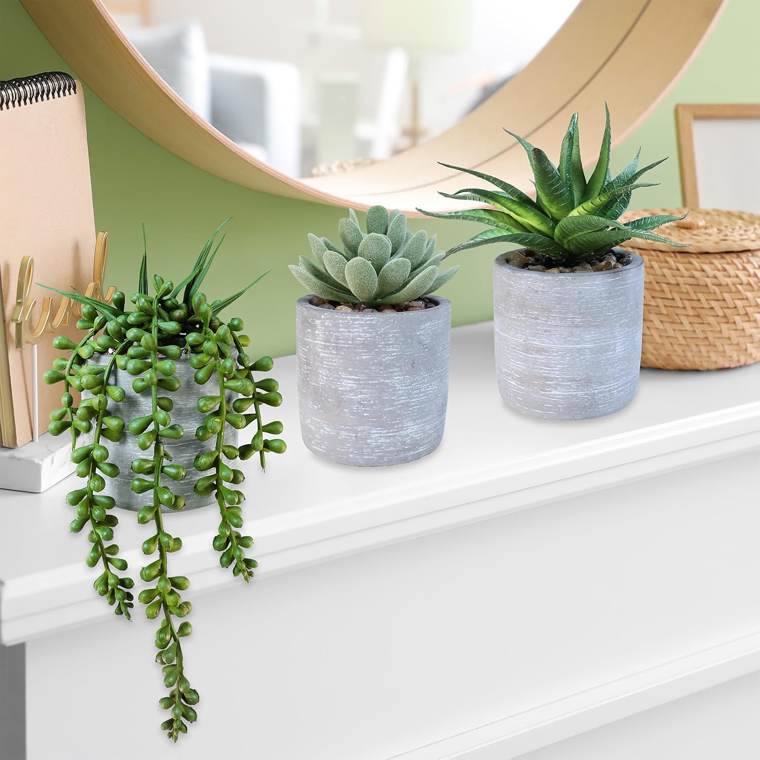 Artificial Potted Succulent Plants Faux Aloe Echeveria String of Pearls Succulents / Gray / Set of 3