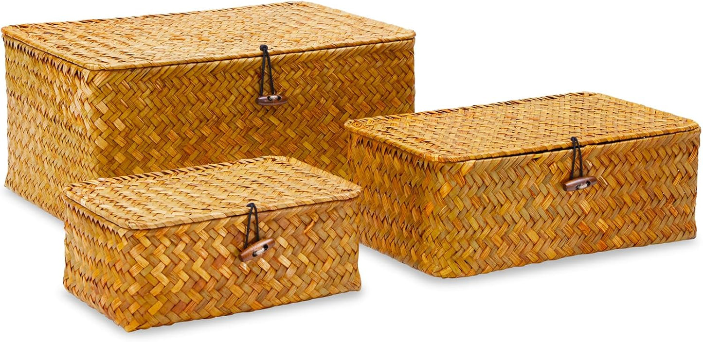 Handwoven Baskets for Storage / Rectangle / Set of 3