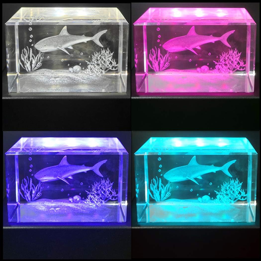 Lighted Up Stand Color Changing LED for 3D / Black / Small