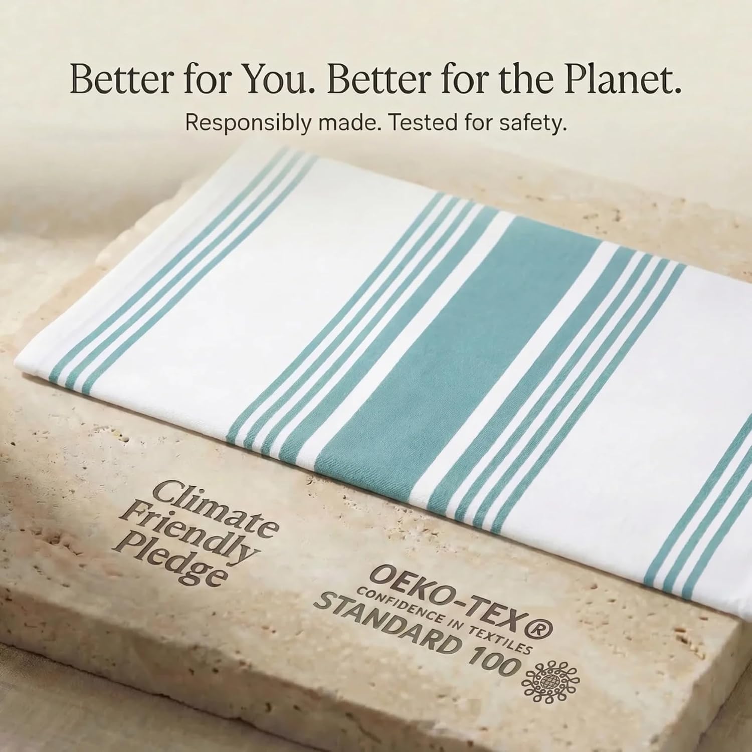 Urban Villa Kitchen Towels Cotton Dish Towels 20”x30” (Set of 6) Aqua