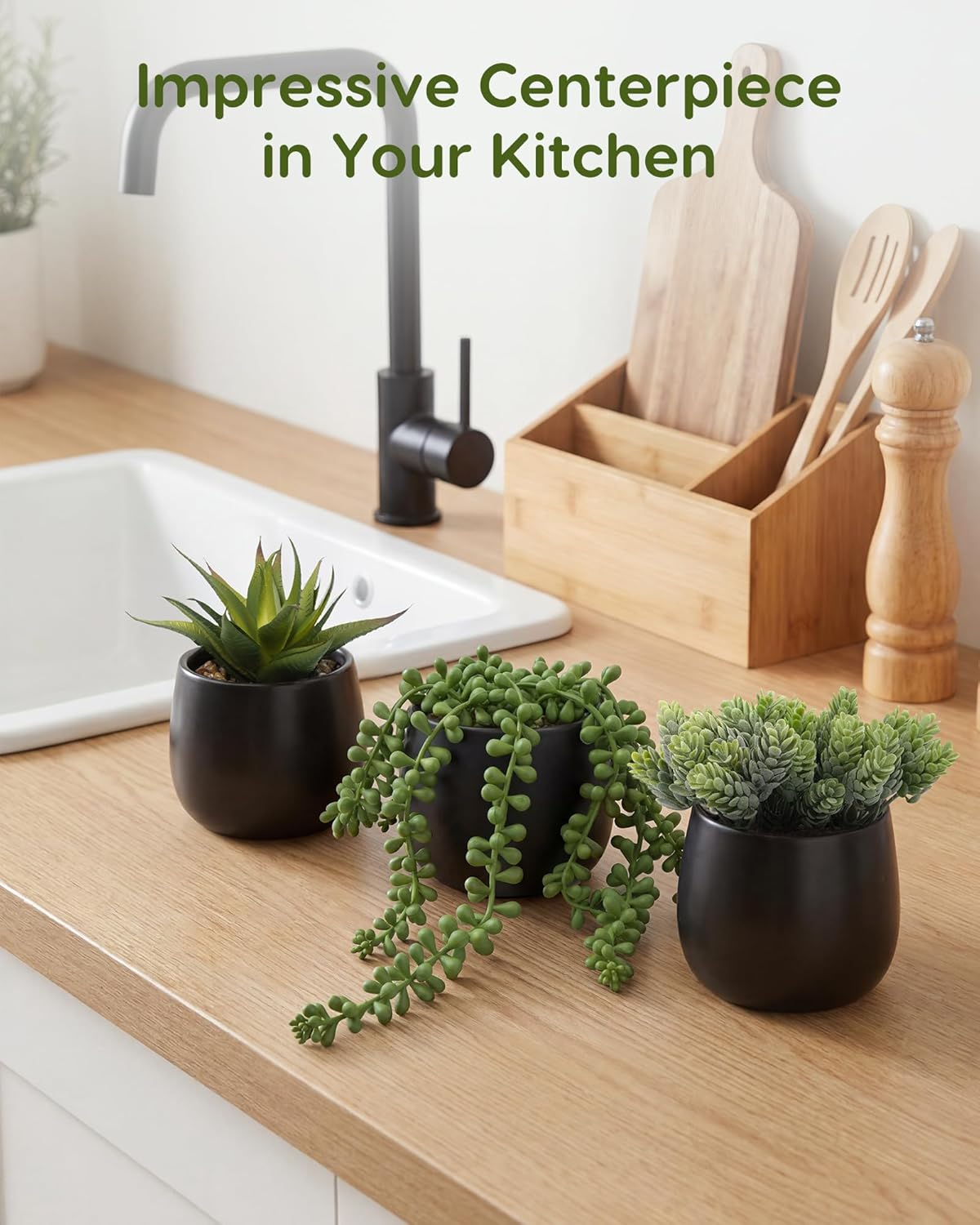 Artificial Succulents Plants in Pots / Black / Set of 3