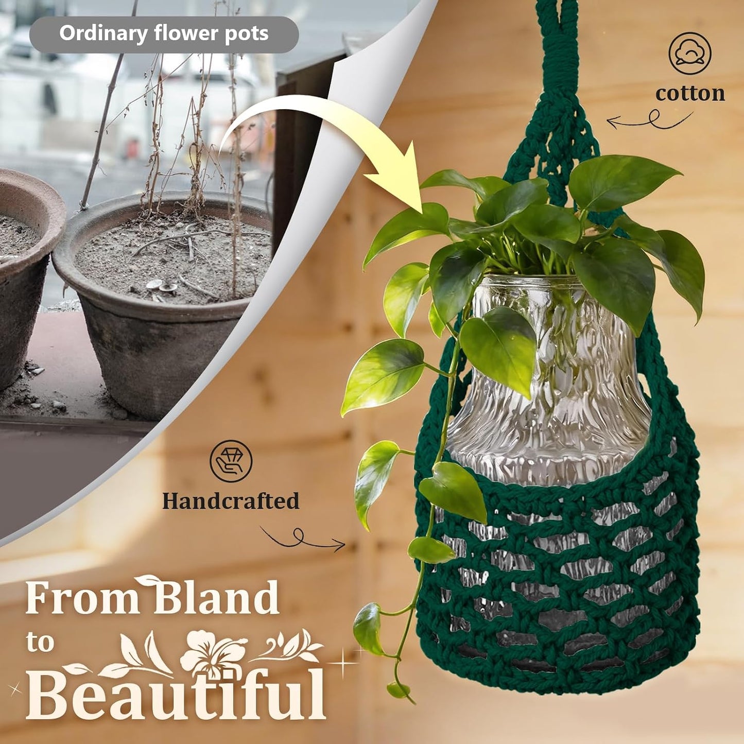 Macrame Wall Plant Hanger / Green / 6-inch / 6 Inch