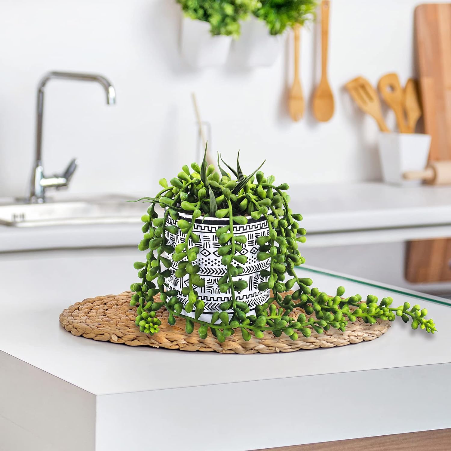 Small Potted Succulents Plants Artificial String of Pearls Aloe Hops Succulents / Black / Set of 3