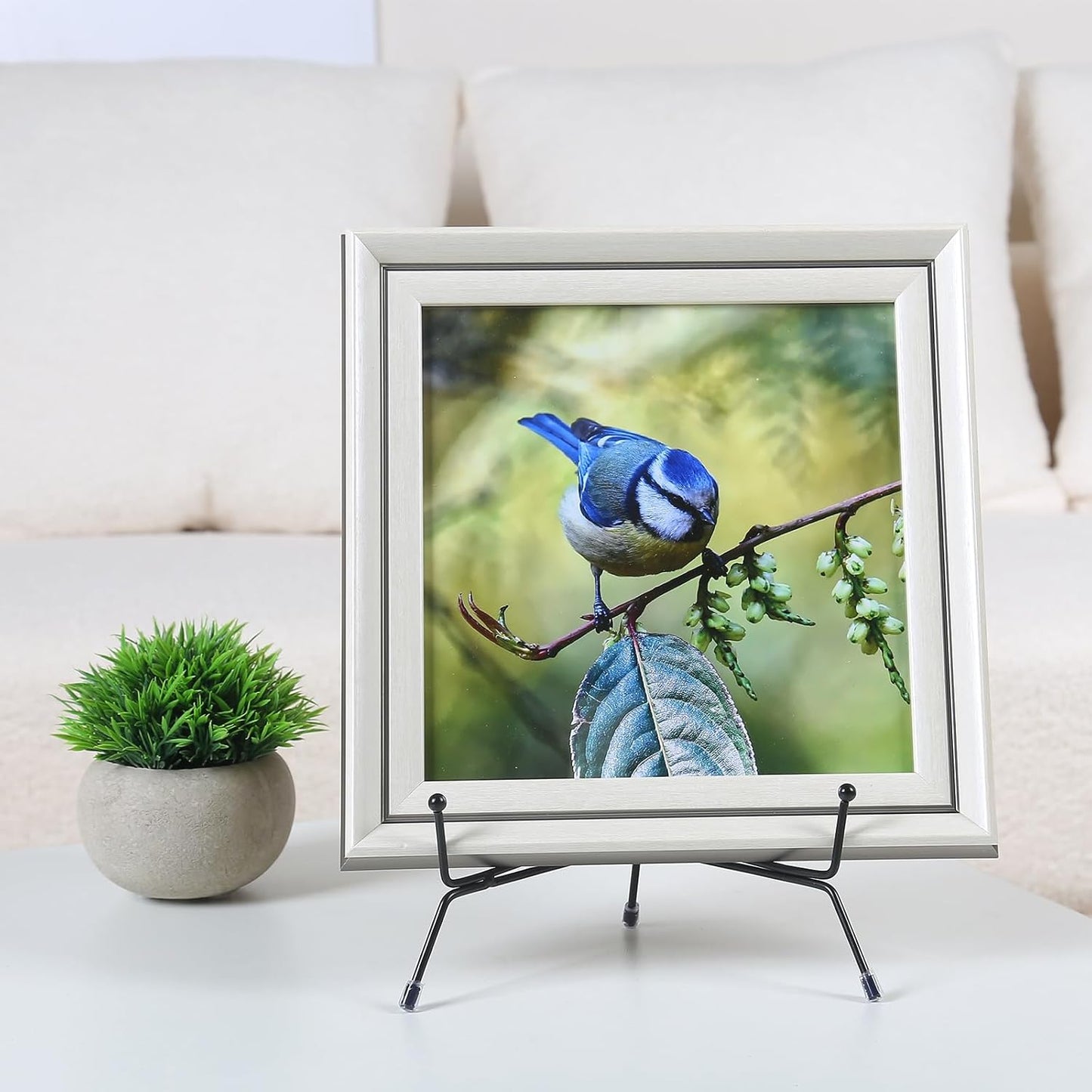 Book / Frame / 4/6/8 Inch / 8 Inch / Set of 6