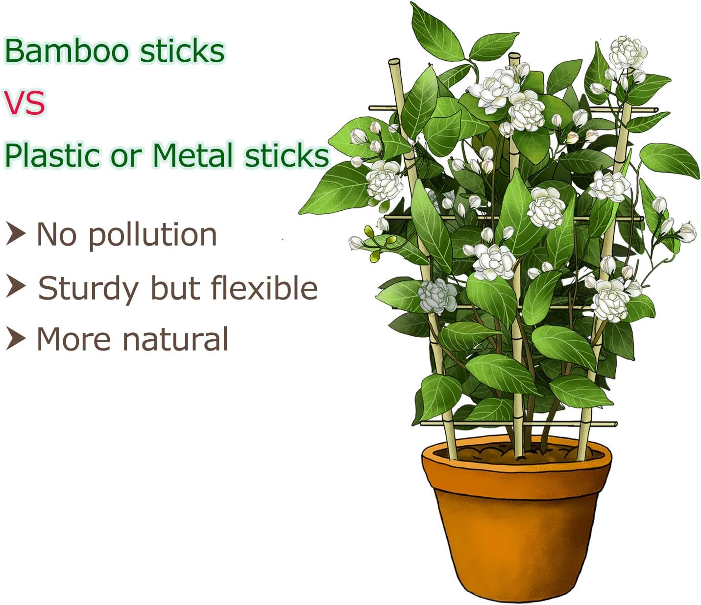 Cambaverd Bamboo Trellis, 24in Fan-Shaped Trellis for Potted Plants 3 Pack | Natural Small Plant Trellis for Climbing