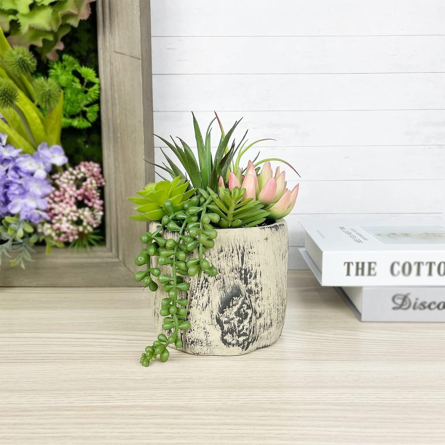 Succulents Plants Artificial / 7.9