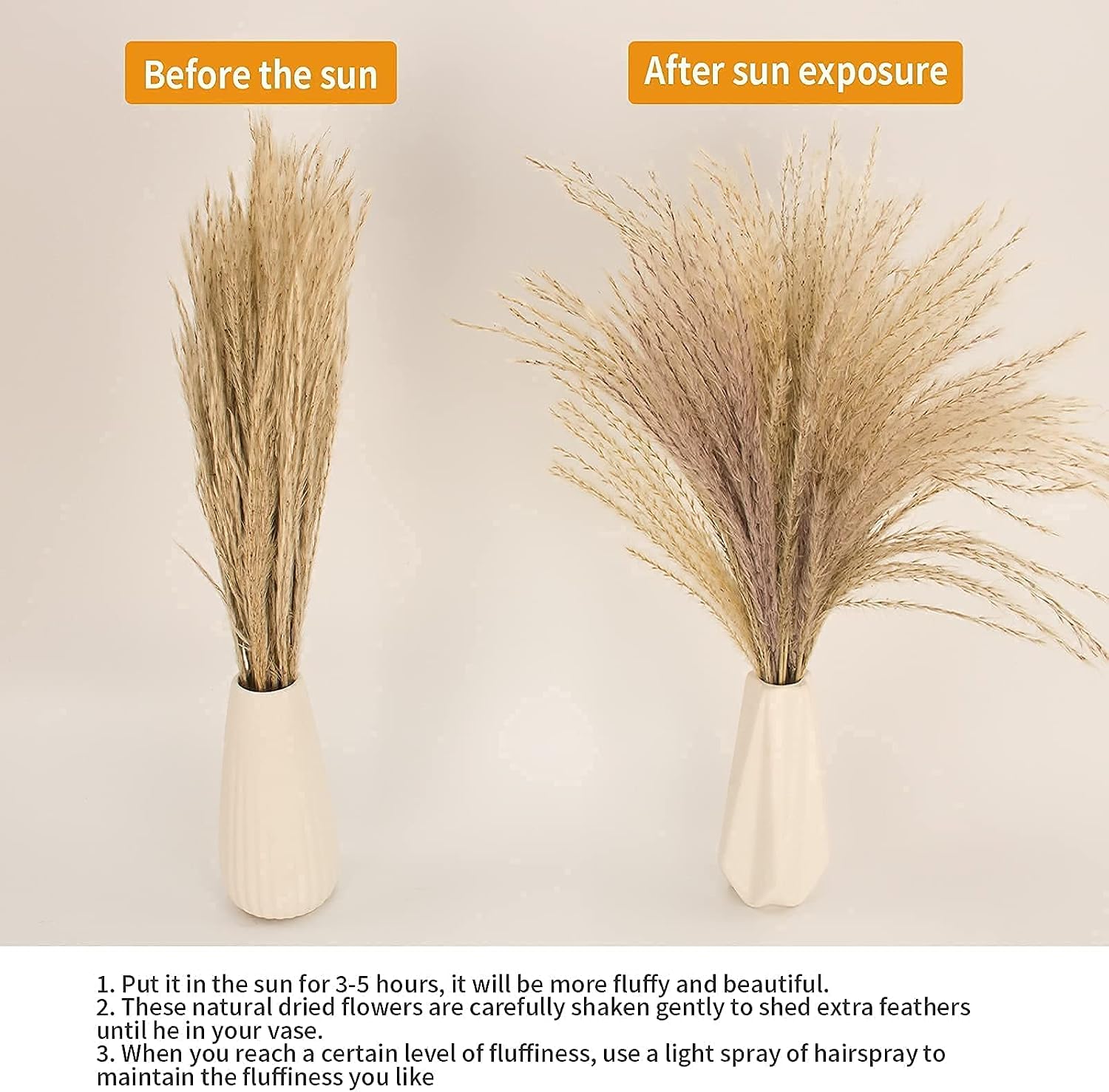 Reed Dried Grass and Bunny Tails Dried Flowers / Natural / Set of 65