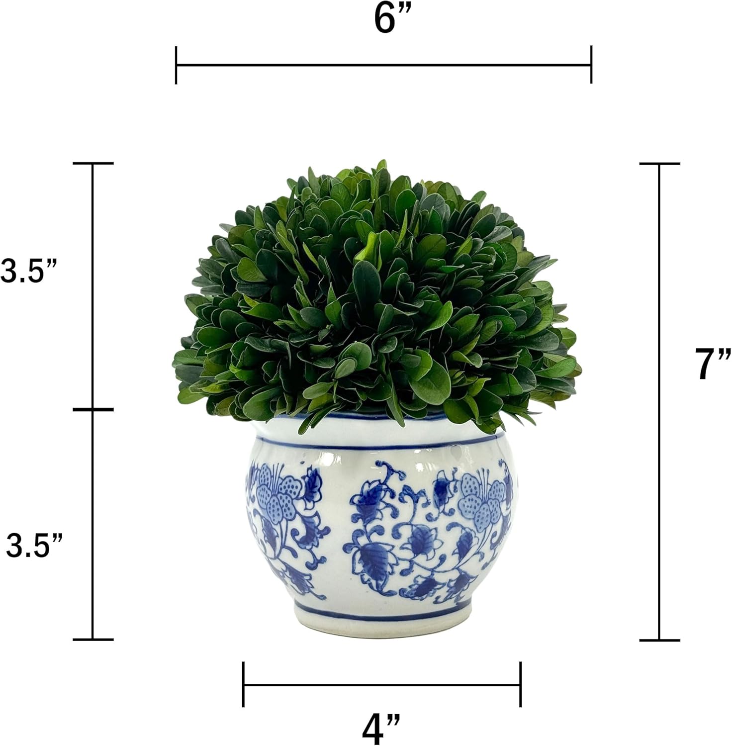 7" Naturally Preserved Real Boxwood Ball in Hand-Painted & White Round / Small 7" Round Pot / Blue