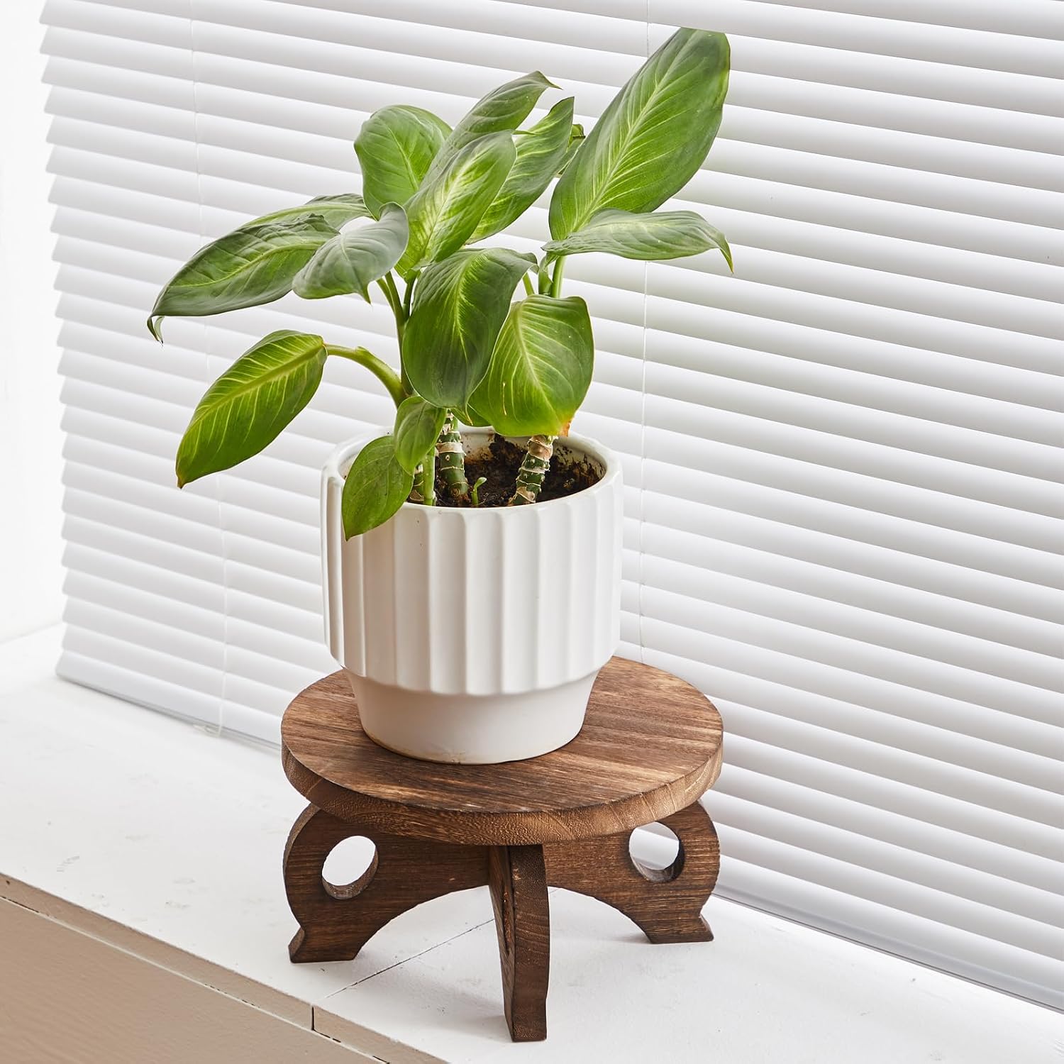 Plant Stand Indoor Round Risers Display Stands Decorative Table for Flowers Stand / Brown / Wood