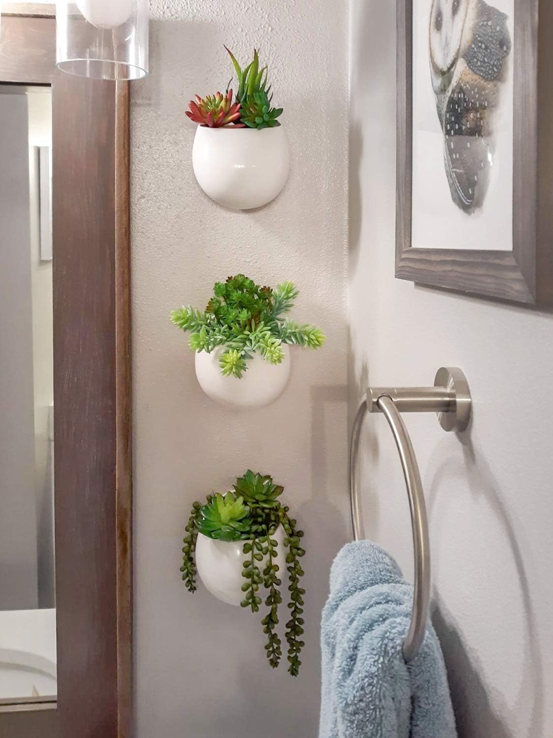 Artificial Plants / Wall Planter