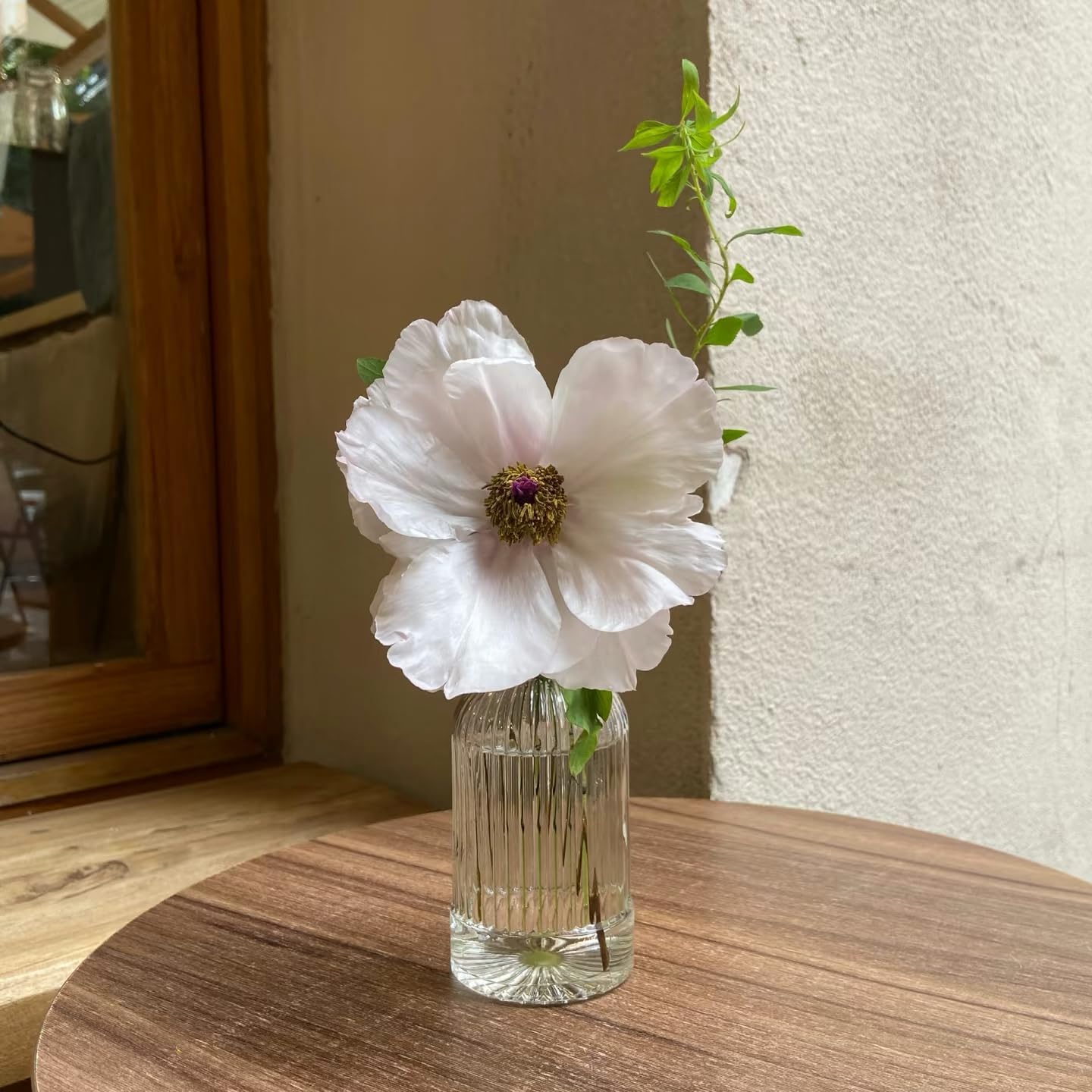 Glass Bud Vase Set / Clear / Set of 24
