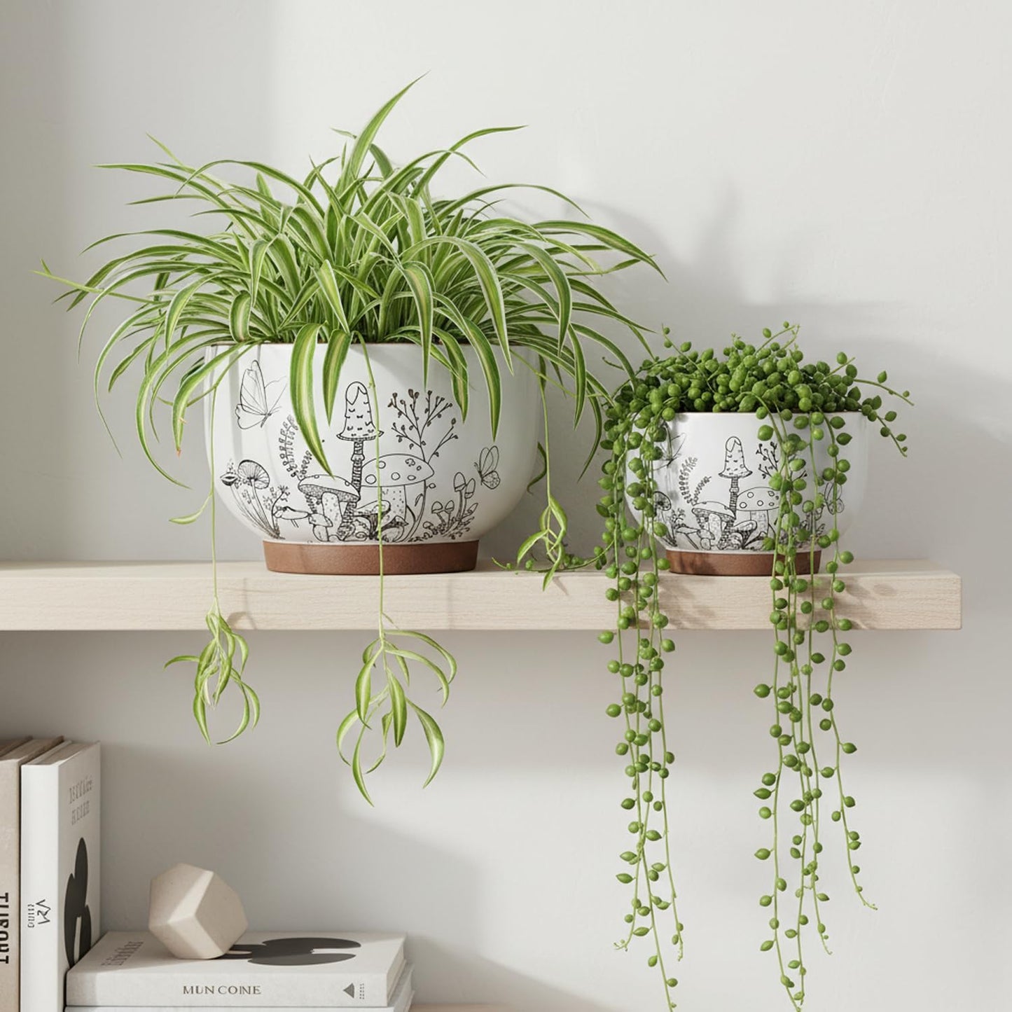 Planters / Plant Pots / 8+6 Inch / Cottage / 8 Inch