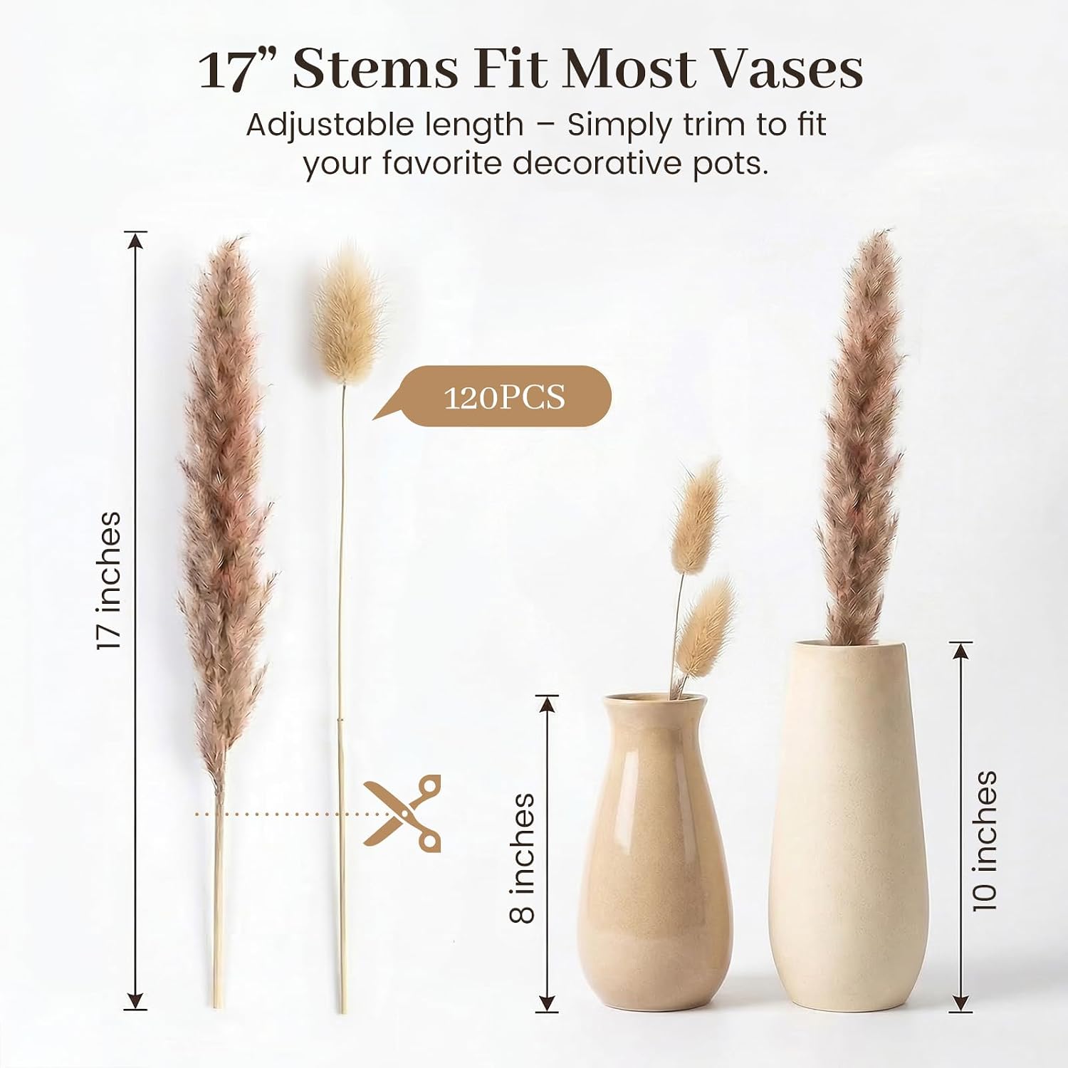 Dried Pampas Grass Set for Vase / Natural / 17 Inch / Set of 120