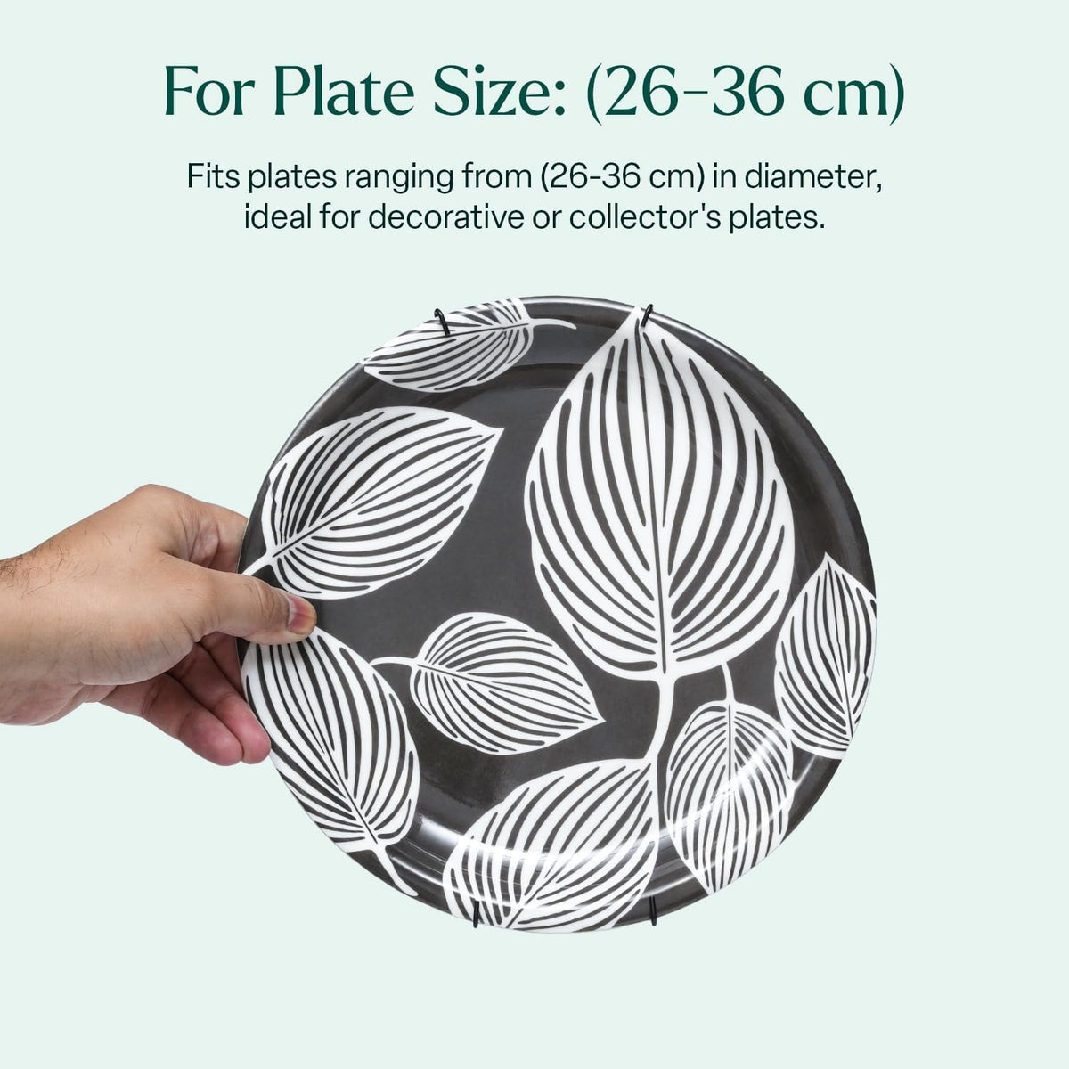 Invisible Plate Hangers for Wall | Decorative Dish Display Holders Hanging Wires Spring Hook Holder Fit to Hang on Wall