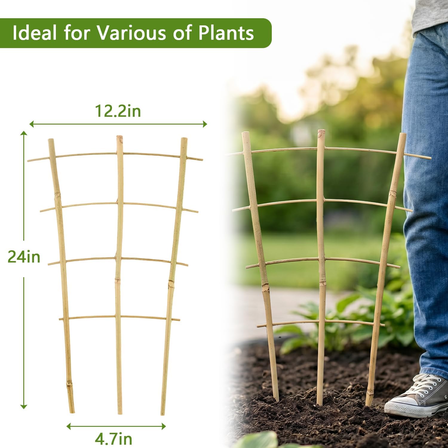Avalution 10 Pack Bamboo Trellis for Climbing Plants, 2 FT Garden Ladder Trellis for Potted Plants Indoor, Fan-Shaped