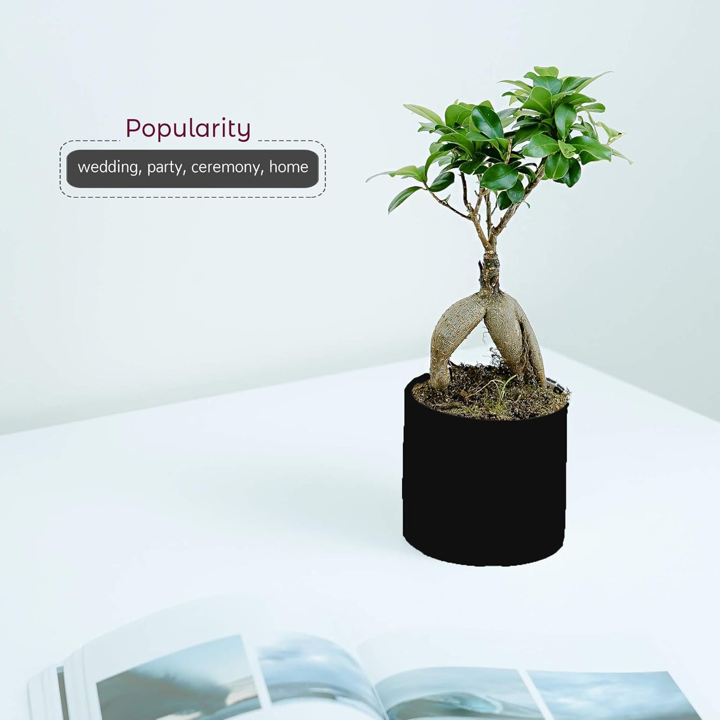 Matte Ceramic Cylinder Vase Width 3.75" Height 4 / 3.75 x 4 / H / Black