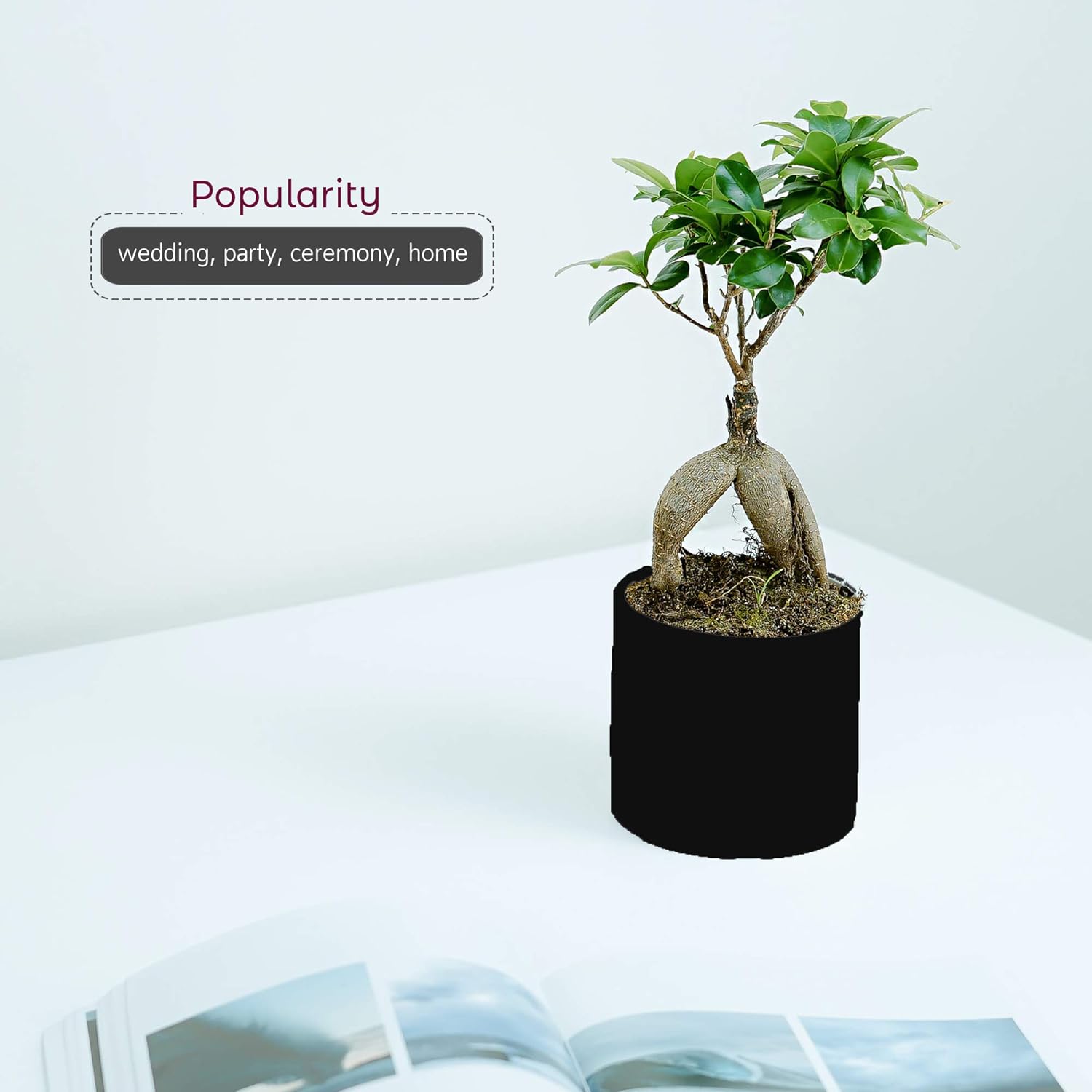 Matte Ceramic Cylinder Vase Width 3.75" Height 4 / 3.75 x 4 / H / Black