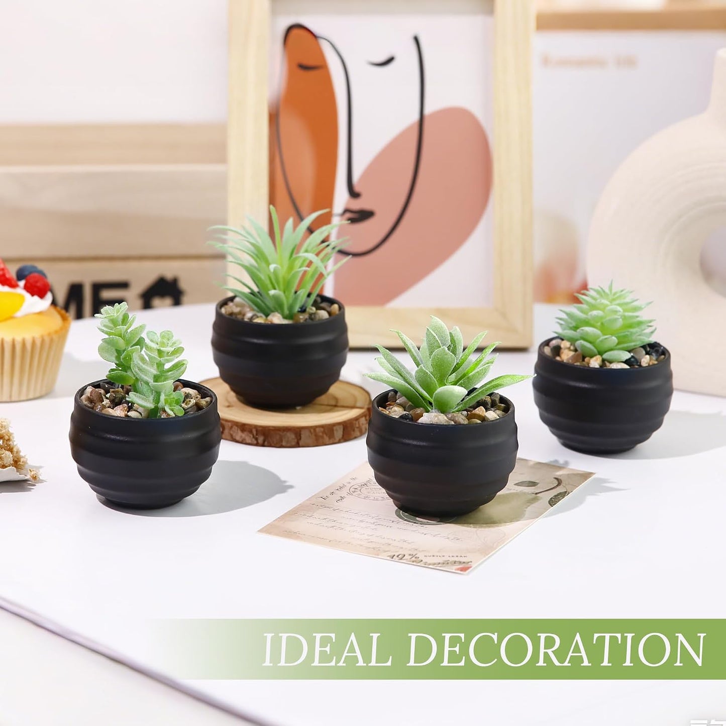 Succulents Plants Artificial in Pots Small Fake Plants for Halloween Decorations / Black / Set of 6