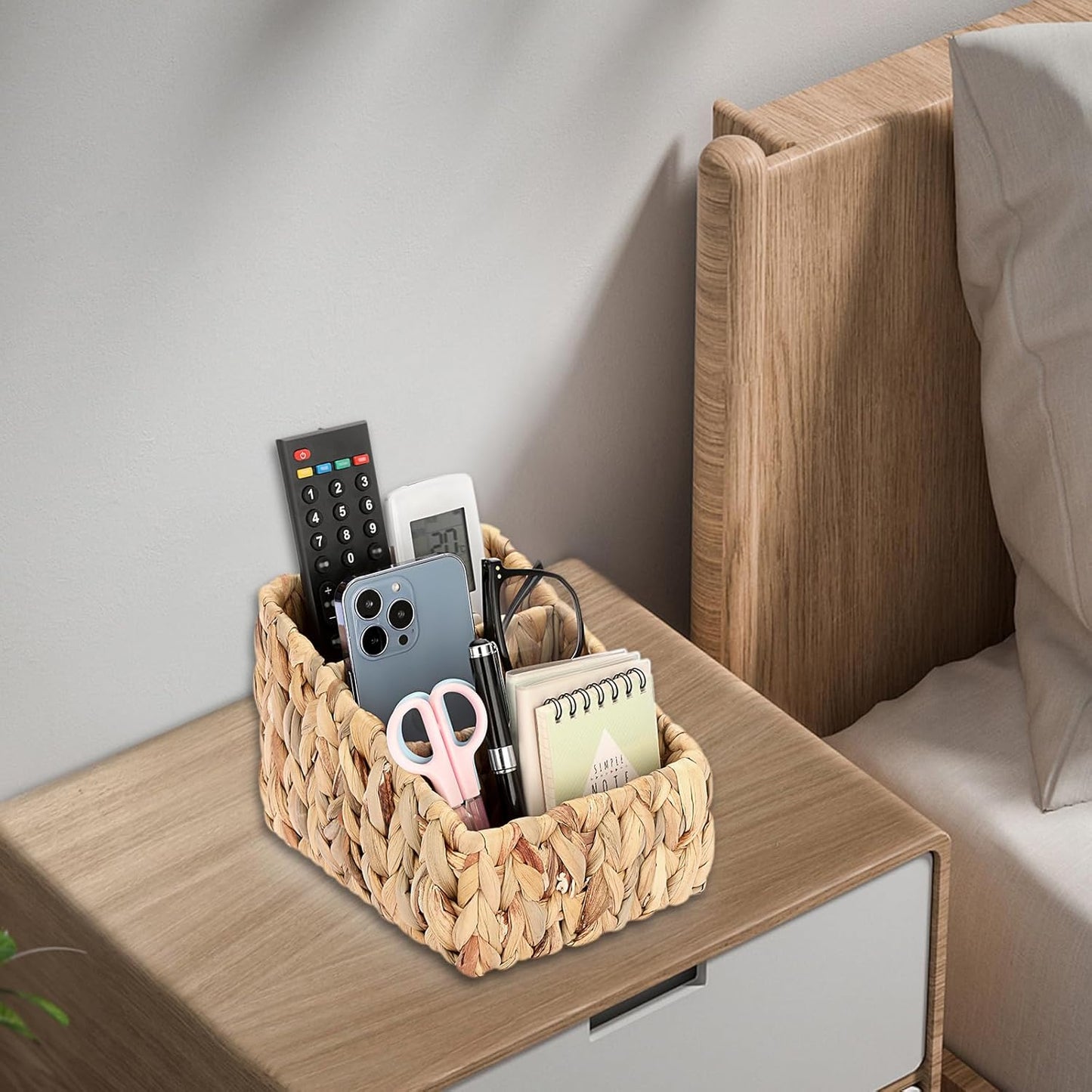 Remote Control Holder / Water Hyacinth