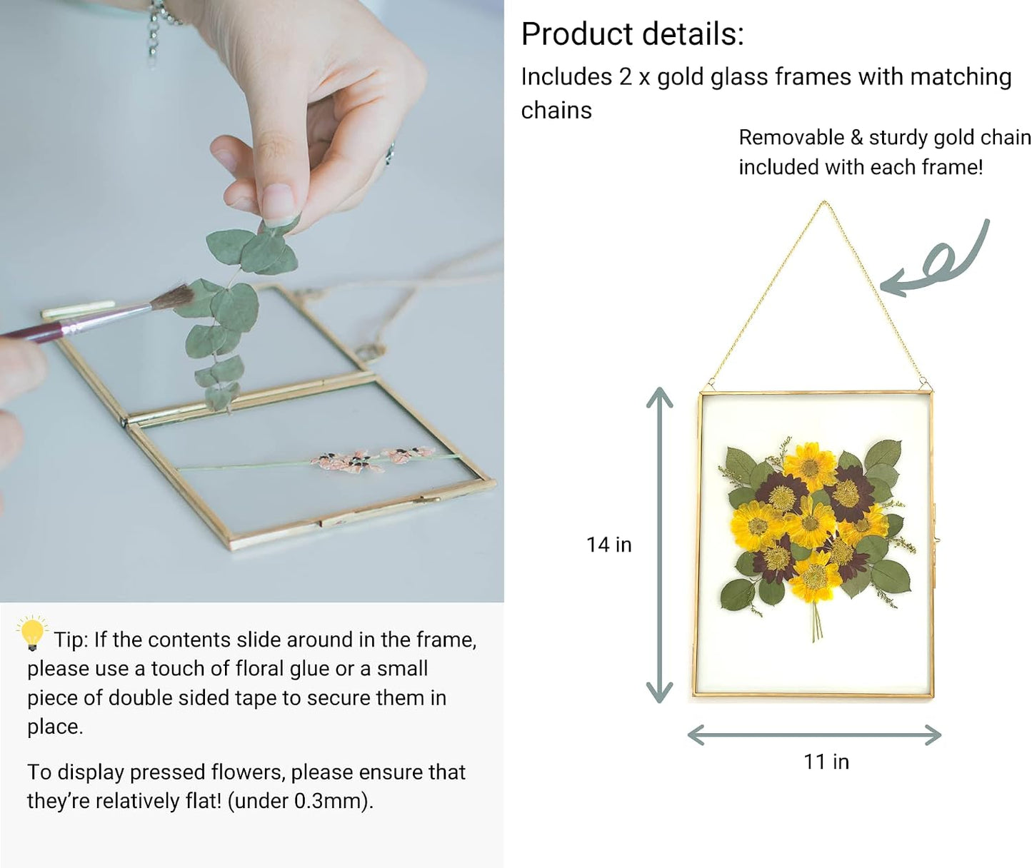 Beedecor Double Glass Frame for Pressed Flowers, Leaf and Artwork - Set of 2 Hanging Picture Frames, Tempered Glass