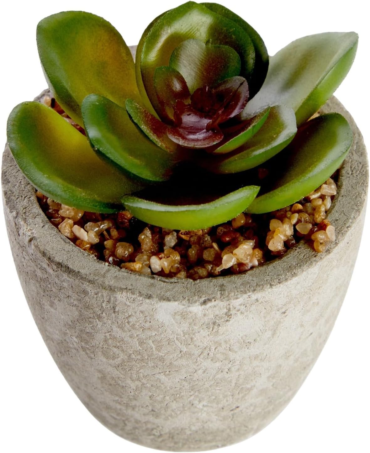 Maintenance-Free Artificial Plants