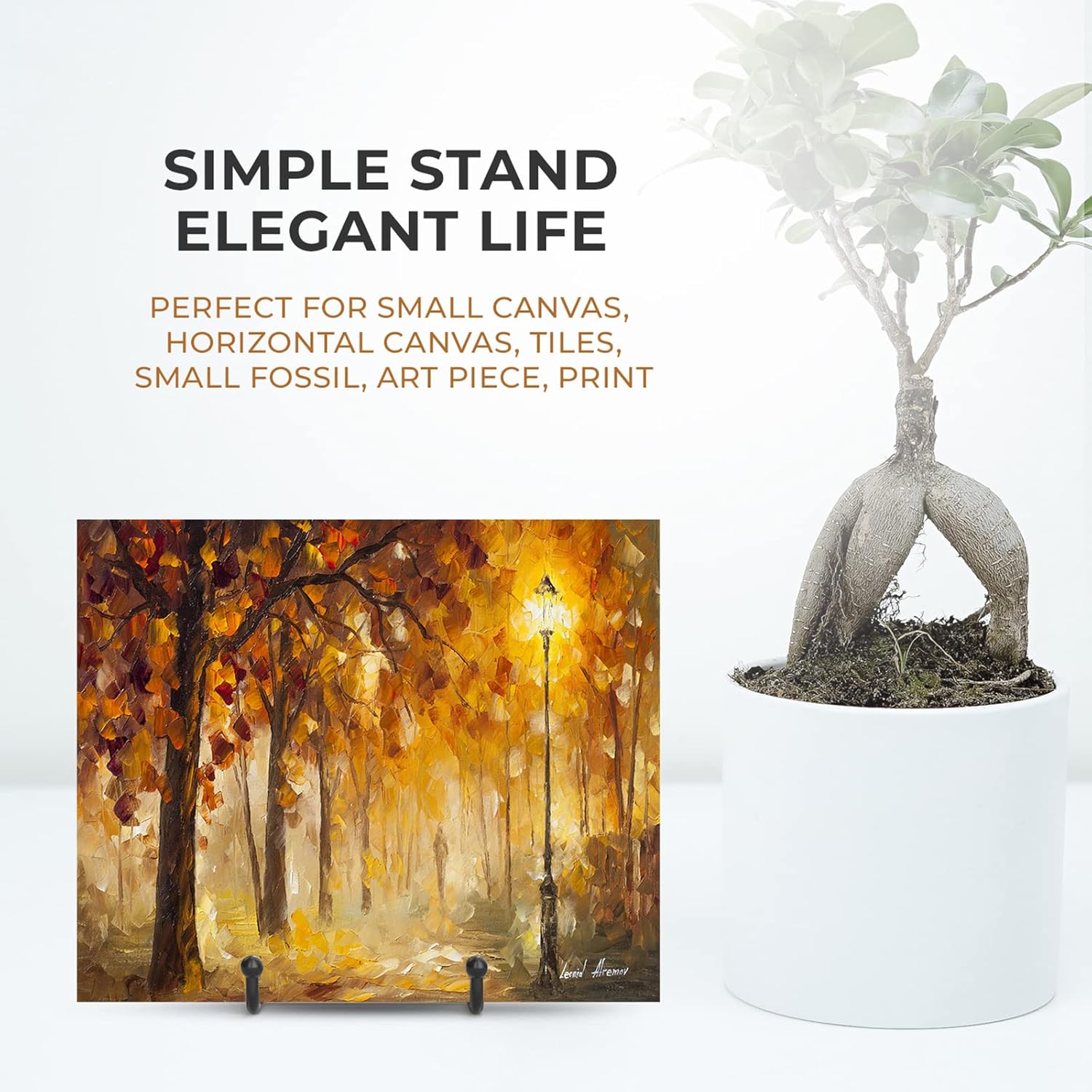 Book / Small Display Stands / 3 Inch / Black / Set of 4