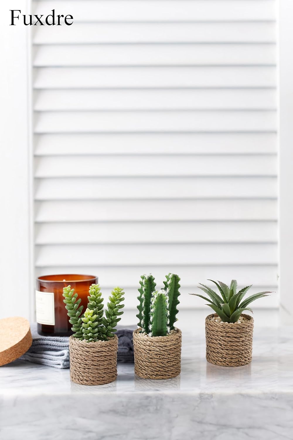 Artificial Succulent Plants in Vintage Plastic Pots / Succulent-d / Set of 3