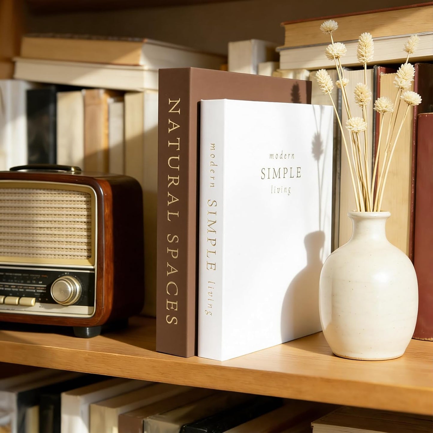Stylish Boxes / Exquisite Decorative Books / Set of 2