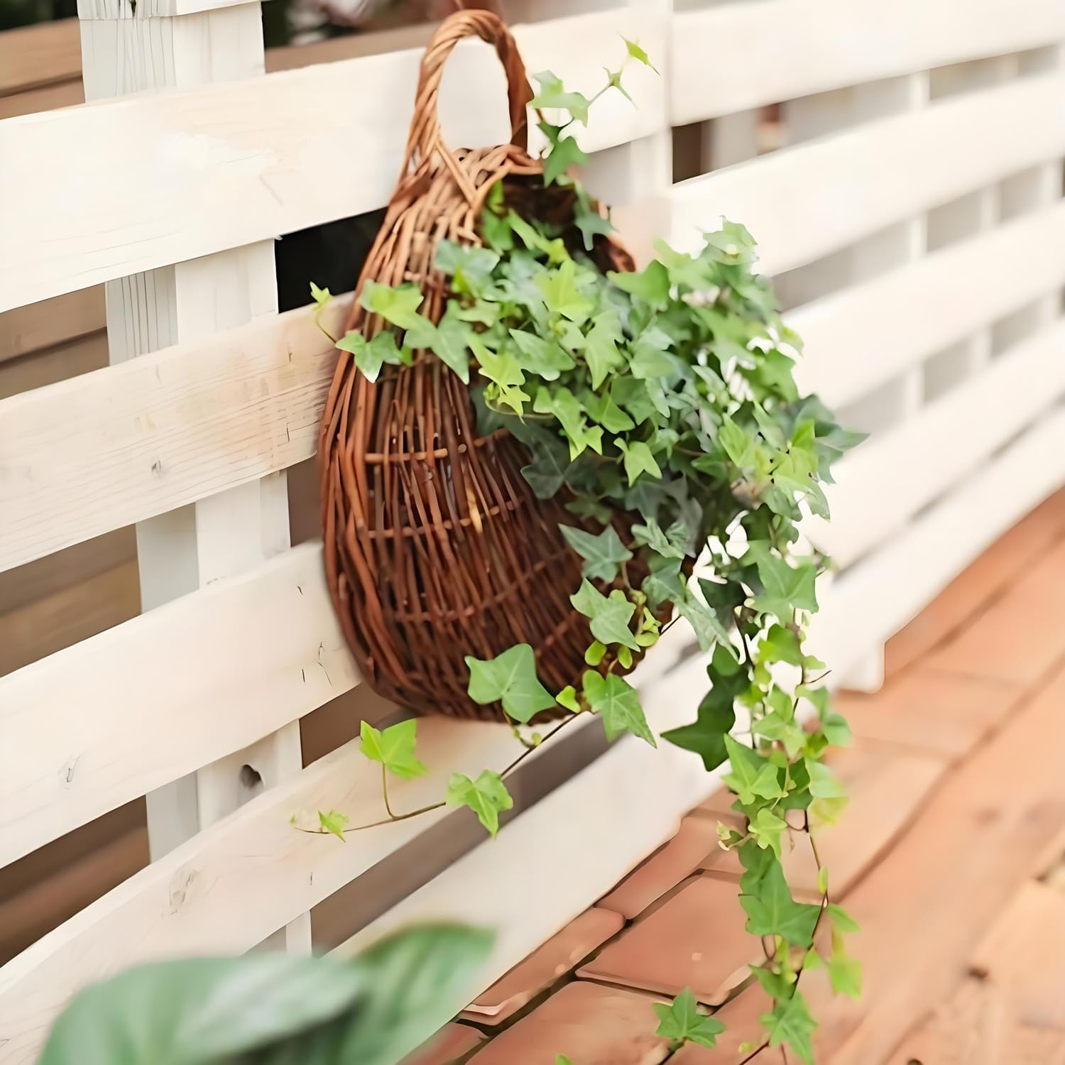 Handmade Wicker Hanging Basket for Plant Wall Mount Rattan Chlorophytum Comosum Hanging / Medium