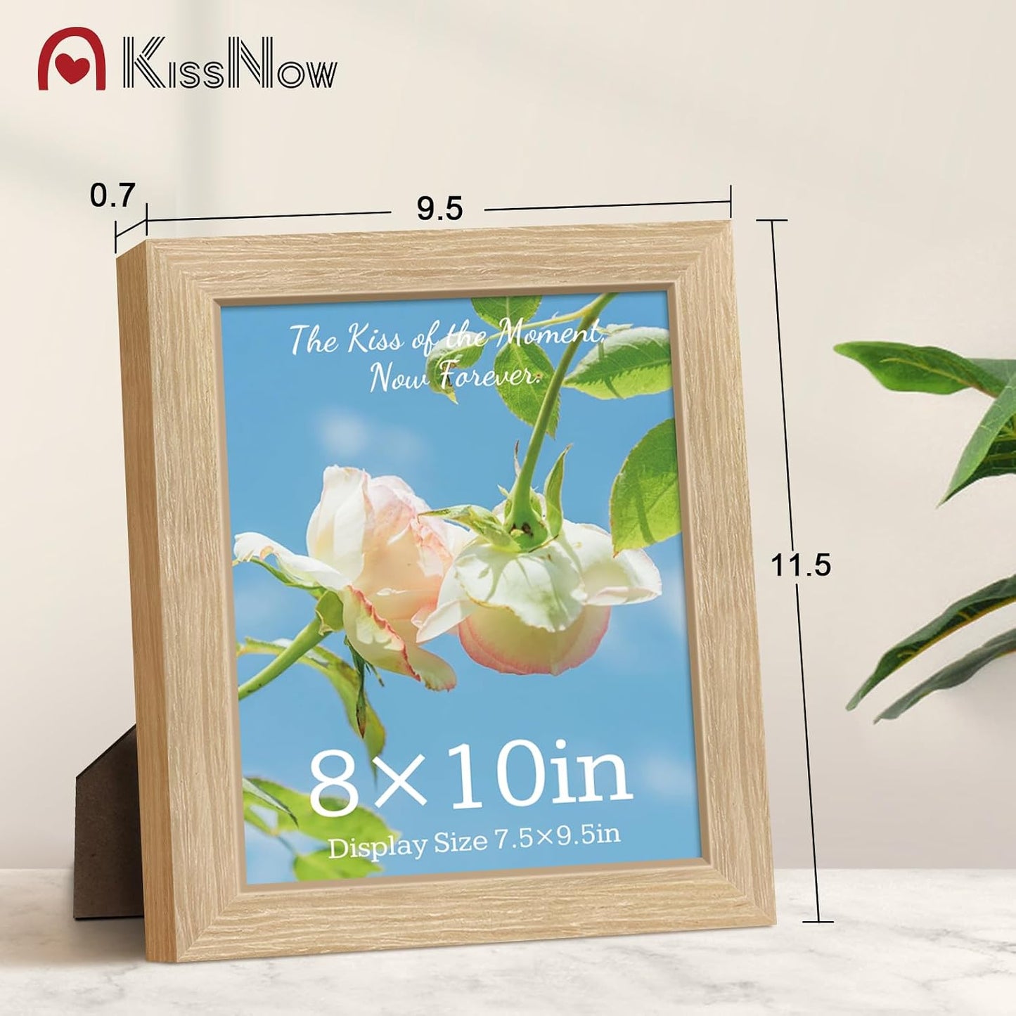 8x10 Picture Frame 4 Pack, Oak Solid Wood, Wall or Tabletop, Studio | Gallery Wall Set, Thick & Wide Border, Polished