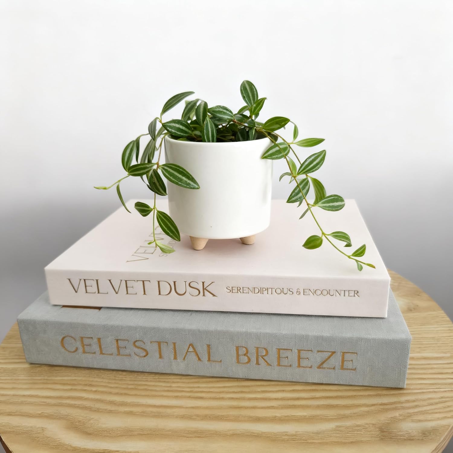 Faux Books Storage Box / Mint Green+beige