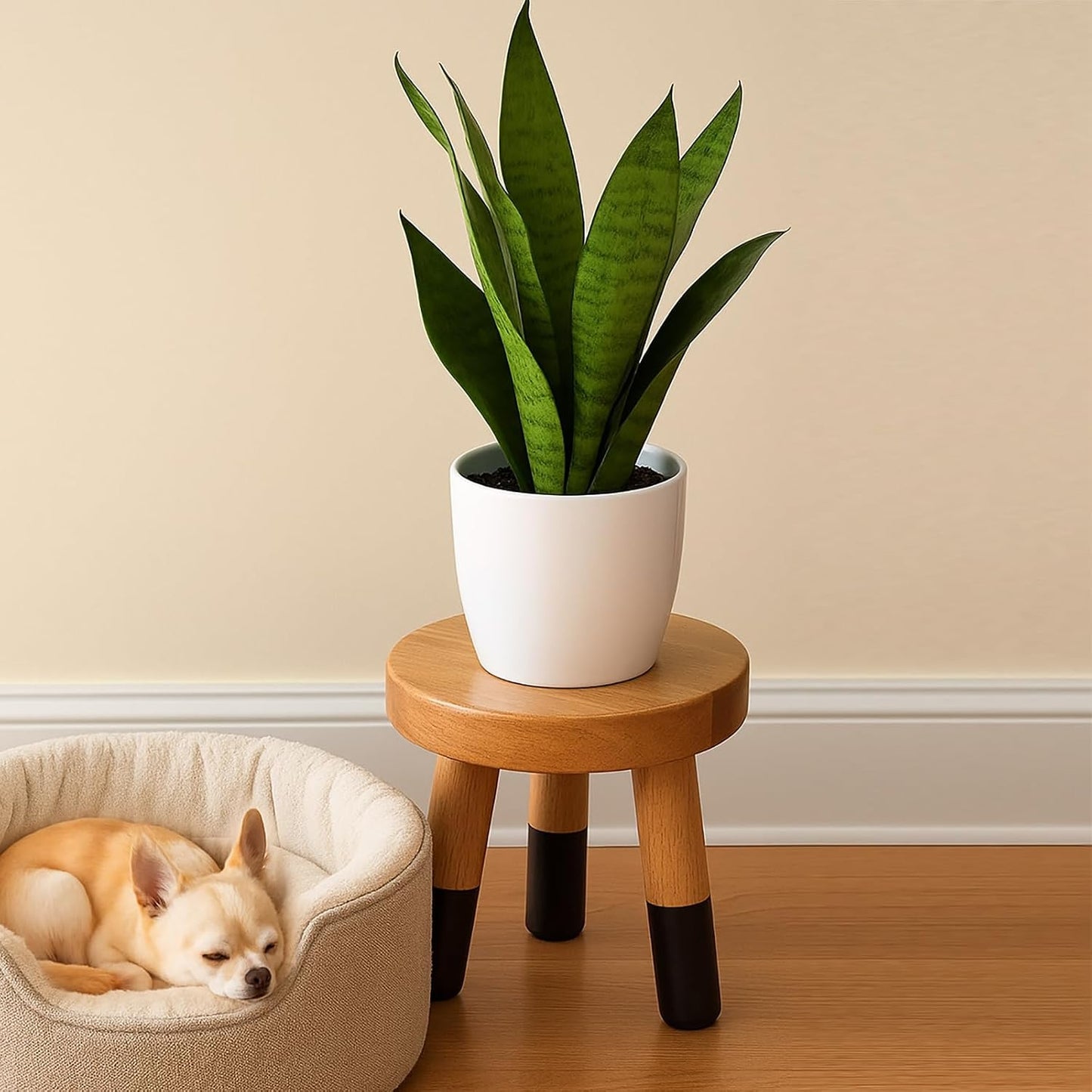 Rubber Wood 9" Round Plant Stand / 8" Tall Black