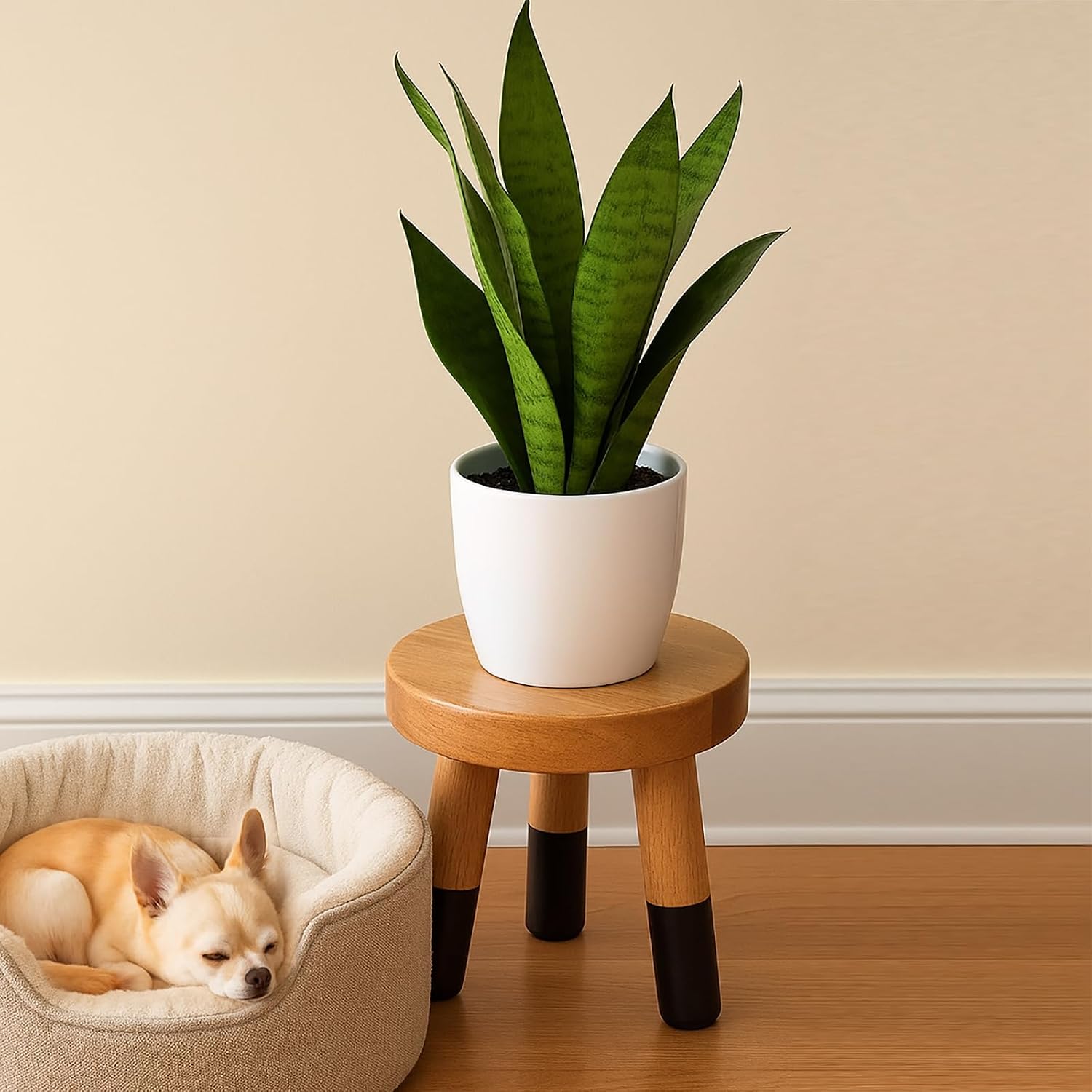 Rubber Wood 9" Round Plant Stand / 8" Tall Black