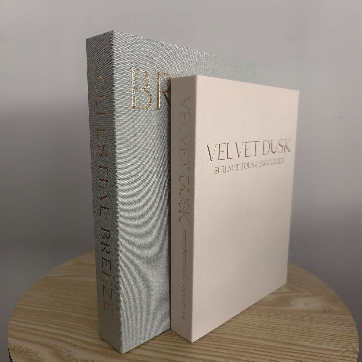 Faux Books Storage Box / Mint Green+beige
